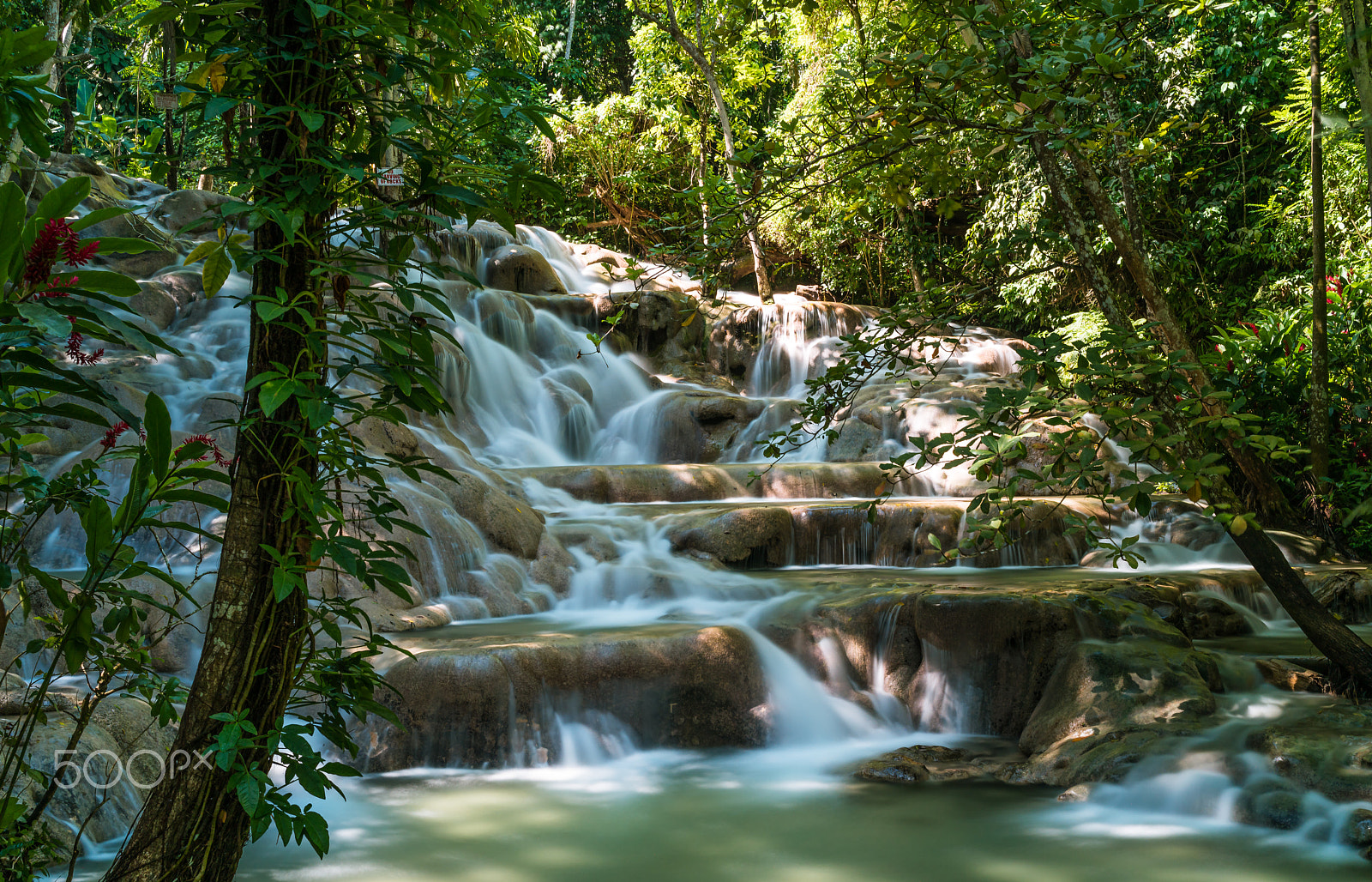 Sony a7R II + E 35mm F2 sample photo. Dunn's river falls photography