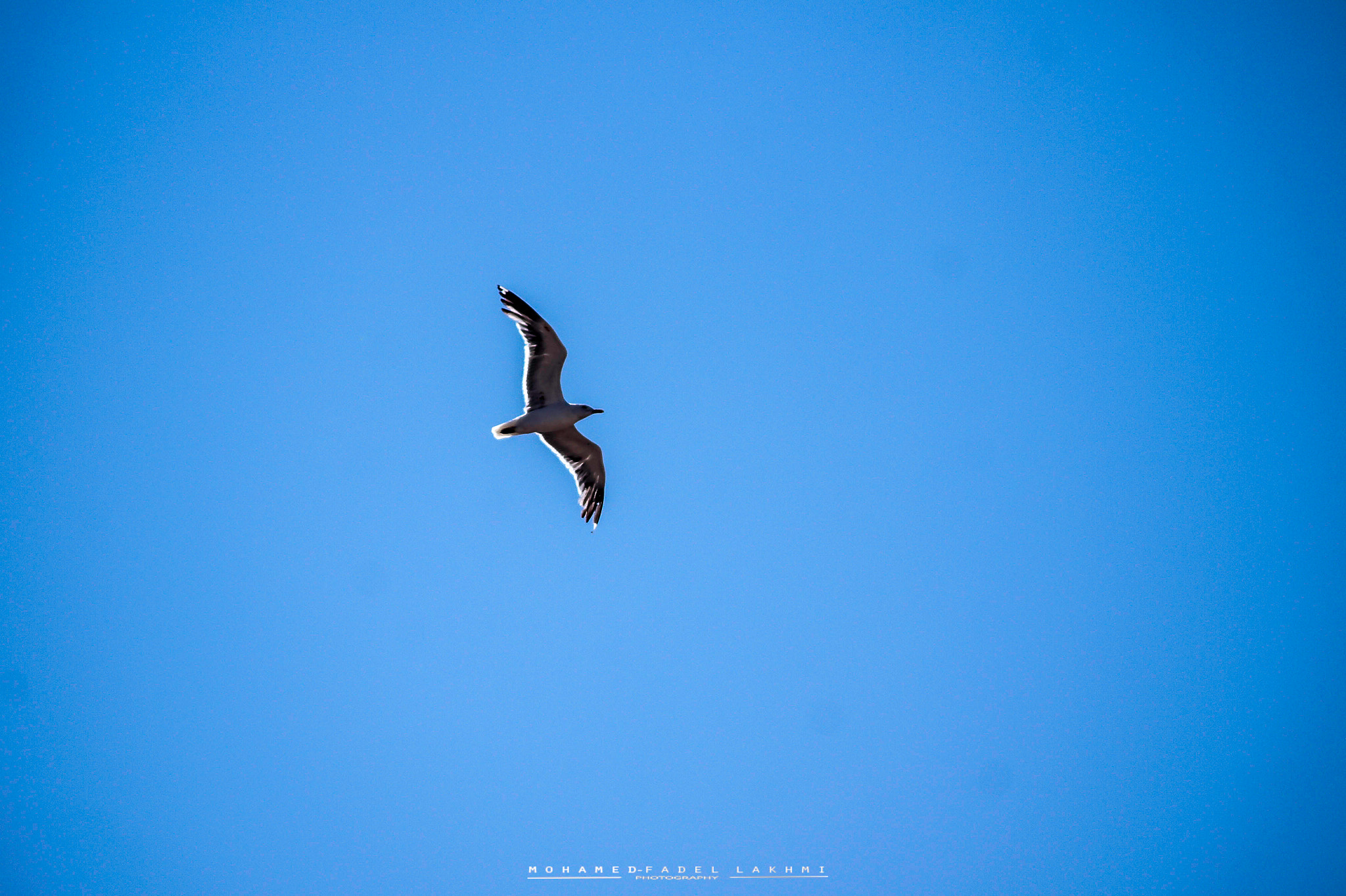 Sony SLT-A33 + Sony DT 55-200mm F4-5.6 SAM sample photo. Blue sky photography