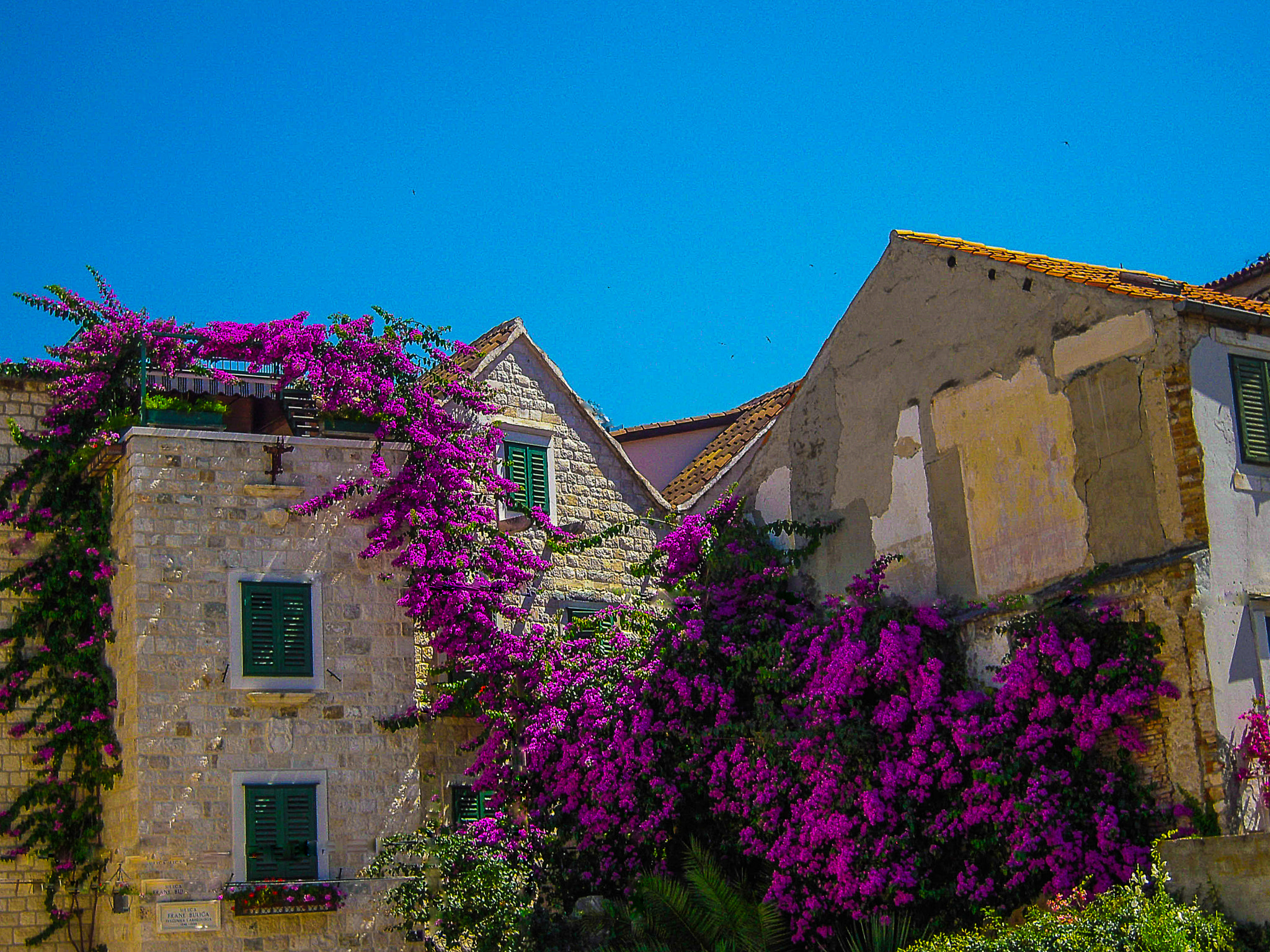 Nikon Coolpix S600 sample photo. Bougainvillea xl in split croatia photography