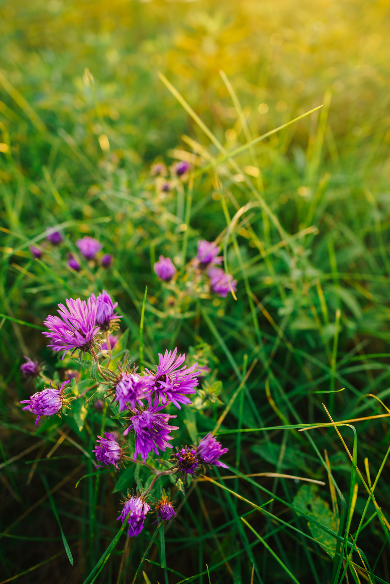 Sony a7R + E 21mm F2.8 sample photo. Still photography