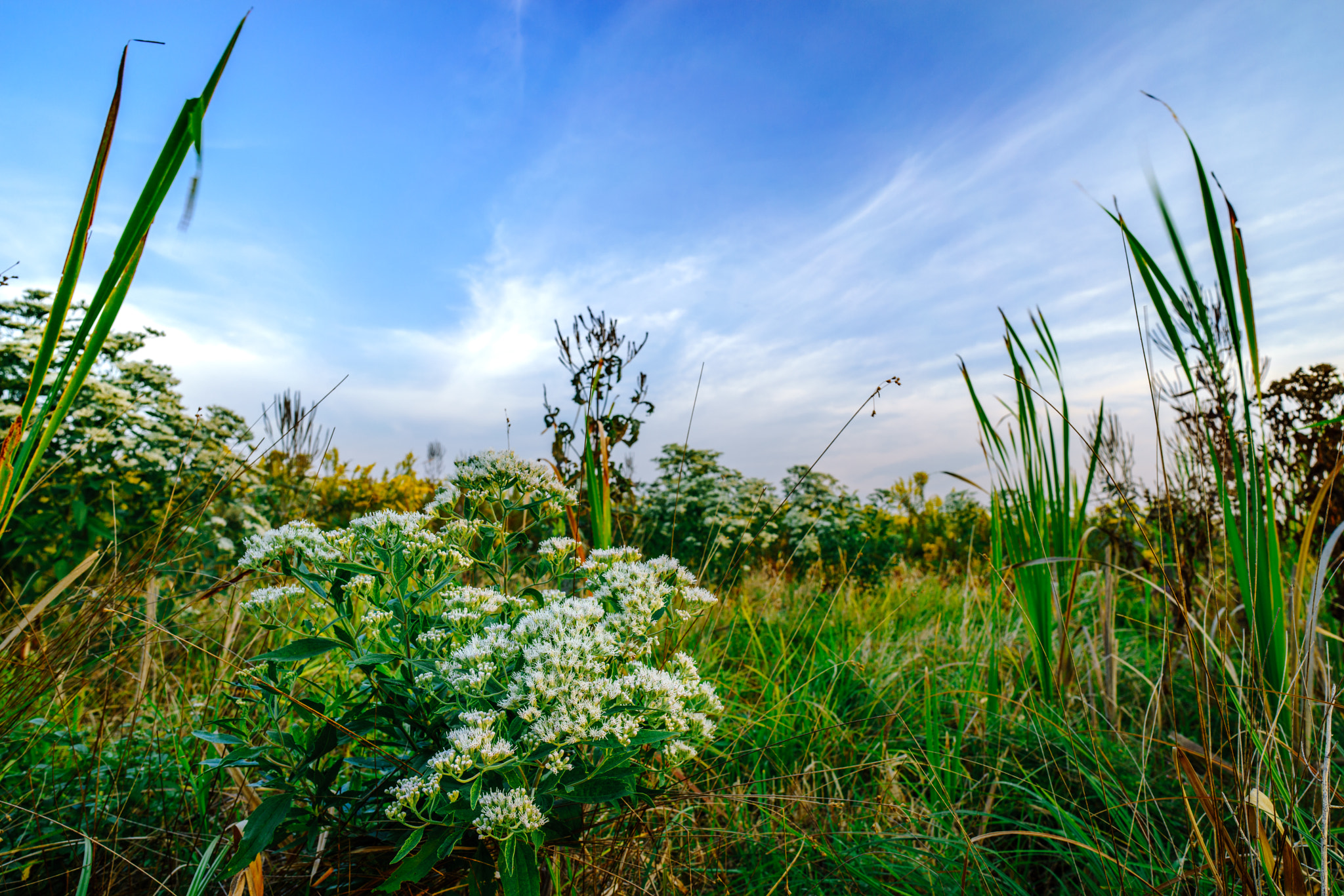 Sony a7R + E 21mm F2.8 sample photo. Underfoot photography