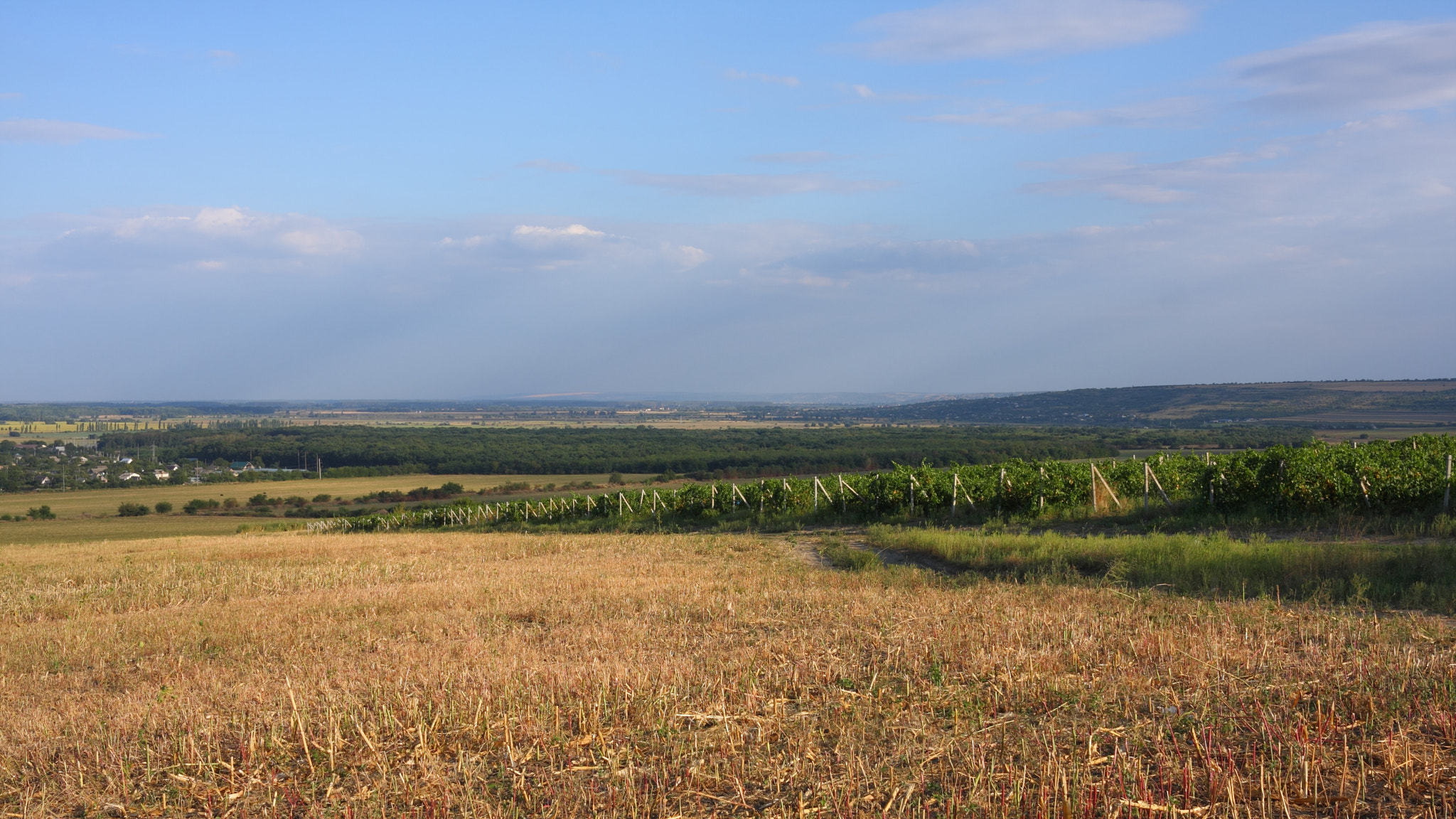 Canon EOS 40D sample photo. Moldova, vineyard photography