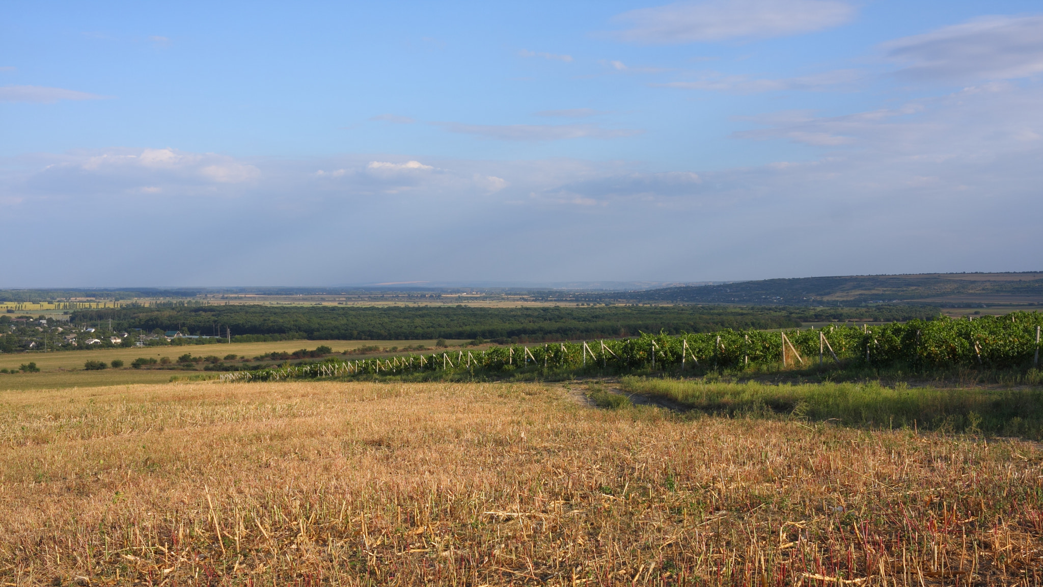 Canon EF-S 24mm F2.8 STM sample photo. Moldova, vineyard photography