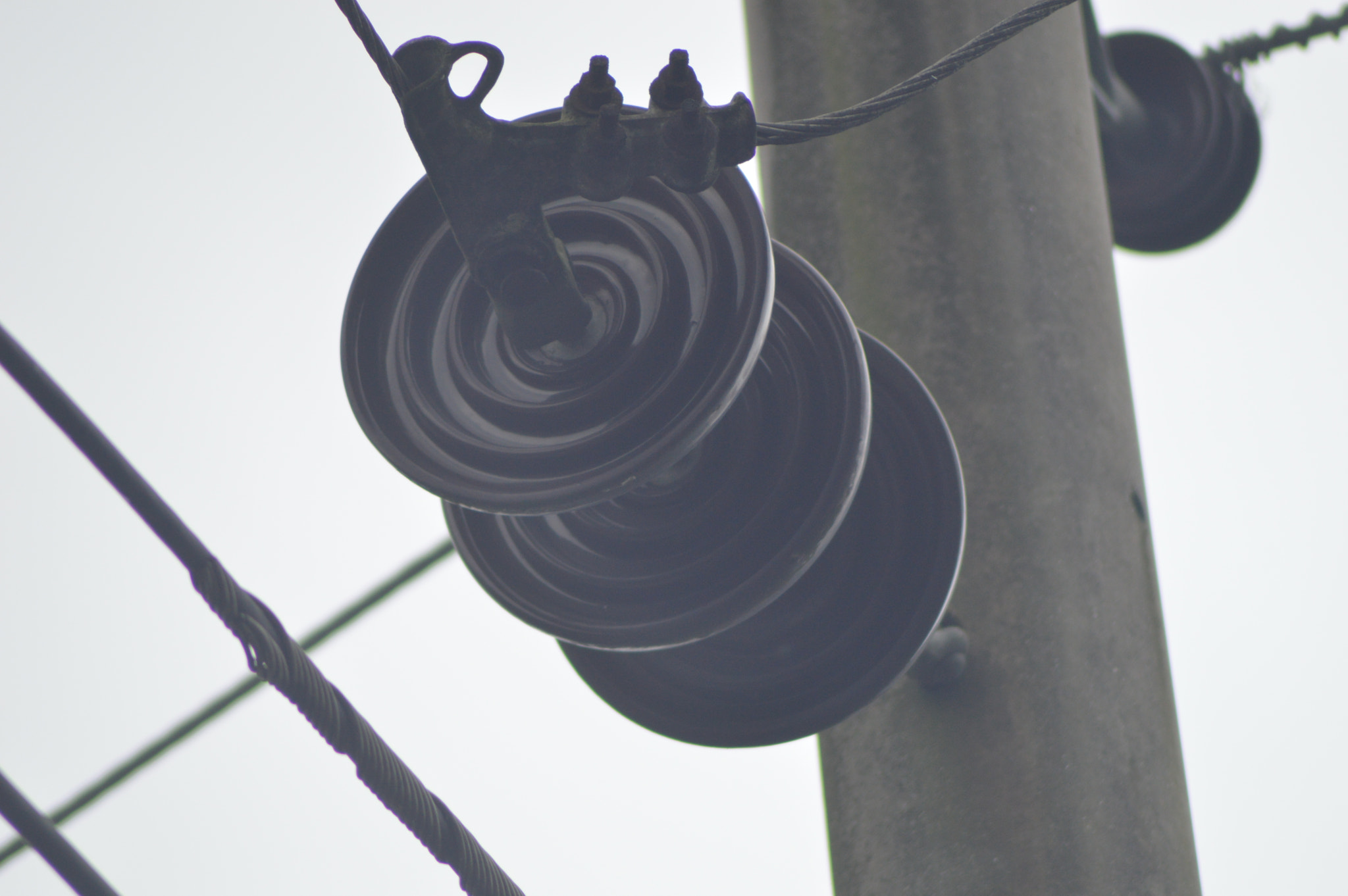 Nikon AF Nikkor 70-300mm F4-5.6G sample photo