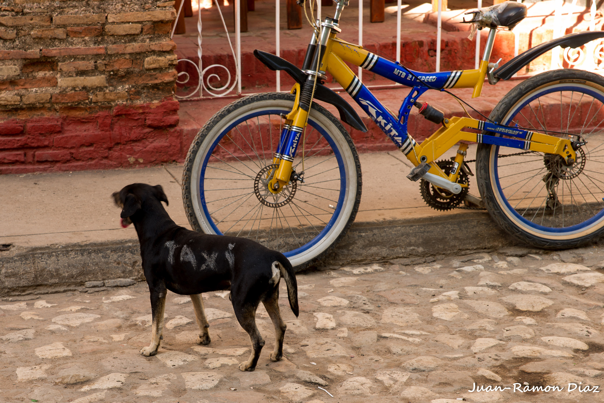 Sony Alpha DSLR-A850 + 24-70mm F2.8 sample photo. Cuba photography