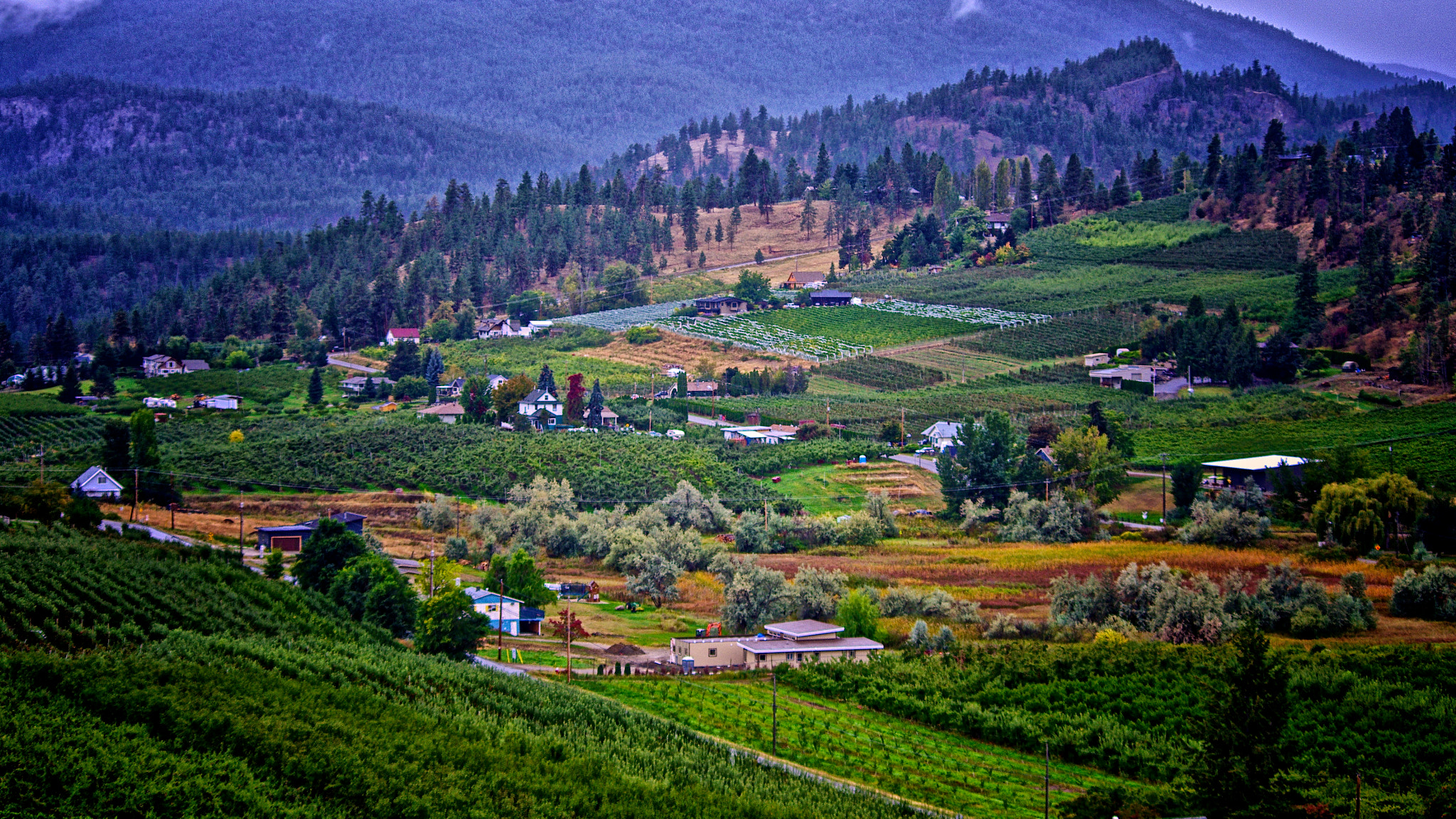 Pentax K-5 sample photo. Rainy day in summerland photography