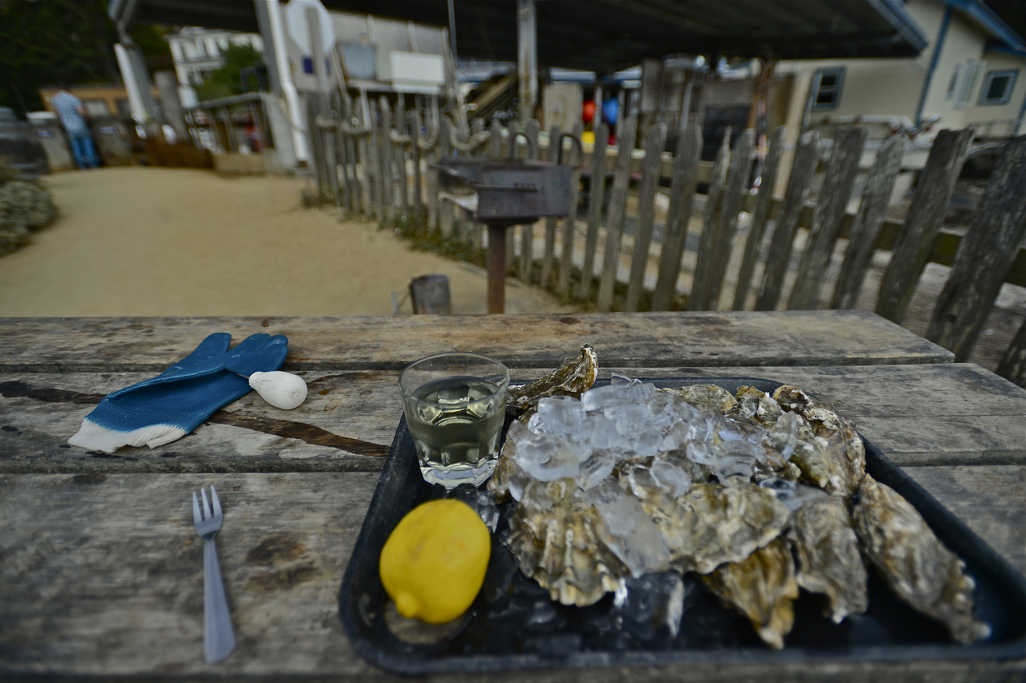 Nikon AF-S Nikkor 17-35mm F2.8D ED-IF sample photo. Hog island oyster photography