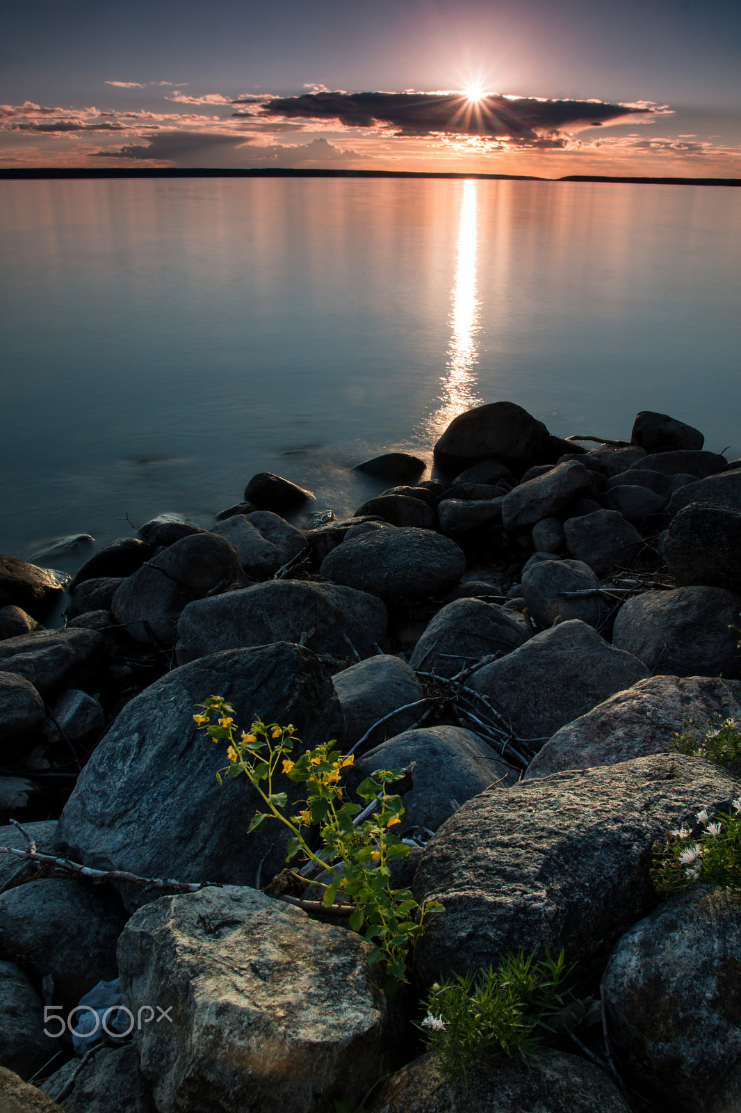 Sony SLT-A77 sample photo. Facing the sun photography