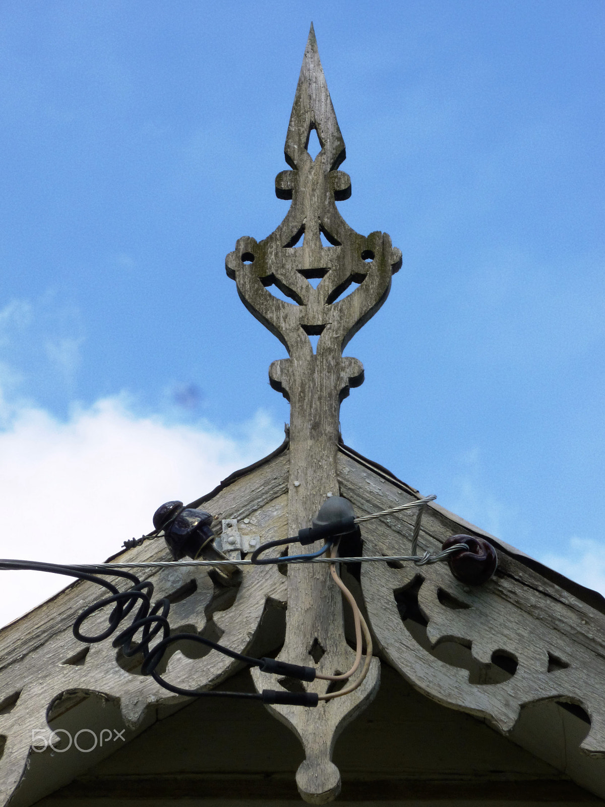 Panasonic DMC-FH25 sample photo. Ornamental needles in ginger houses. port of spain photography