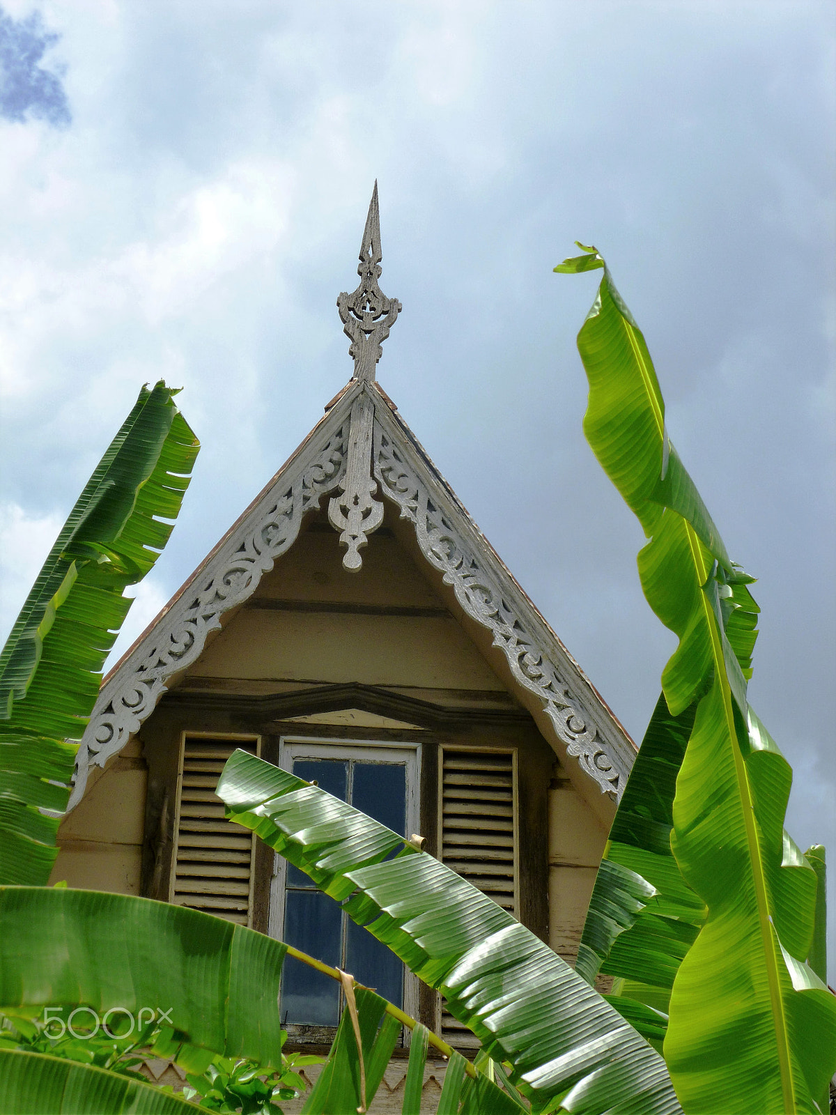 Panasonic DMC-FH25 sample photo. Ornamental needles in ginger houses. port of spain photography