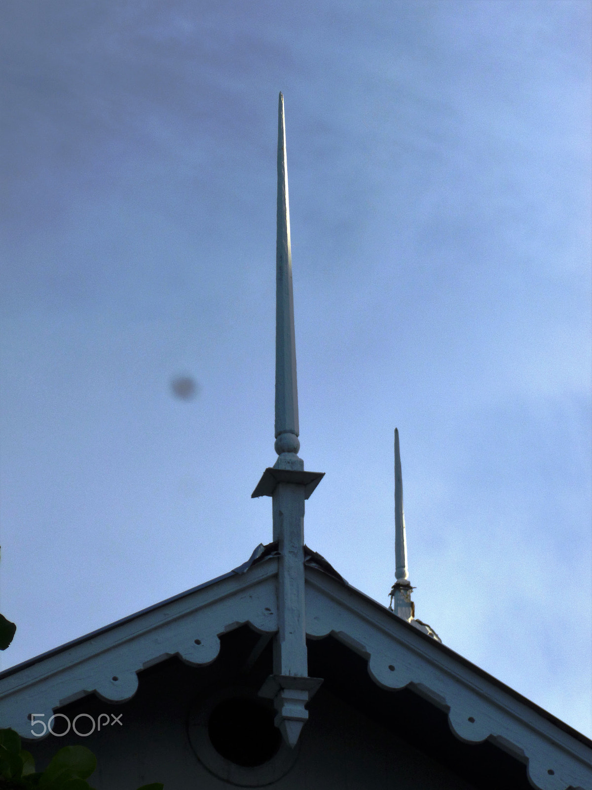 Panasonic DMC-FH25 sample photo. Ornamental needles in ginger houses. port of spain photography