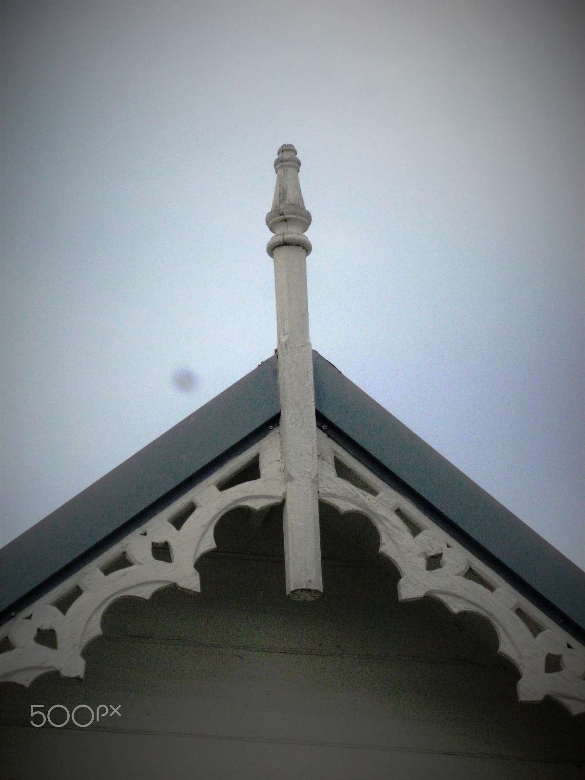 Panasonic DMC-FH25 sample photo. Ornamental needles in ginger houses. port of spain photography