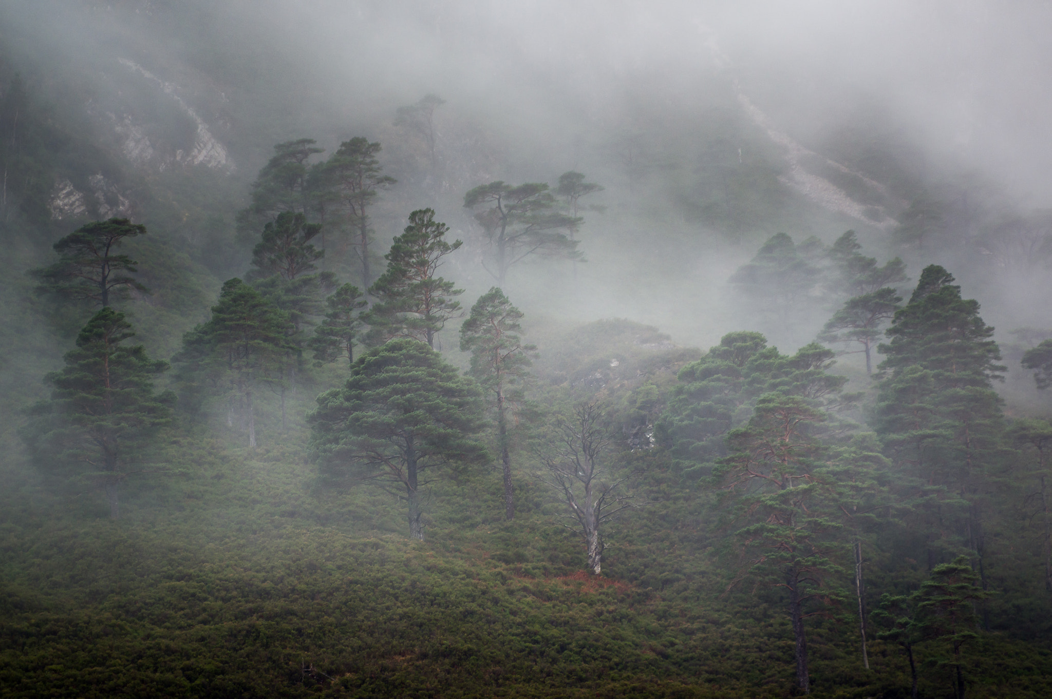 Pentax smc DA* 50-135mm F2.8 ED (IF) SDM sample photo. Caledonian dreams photography