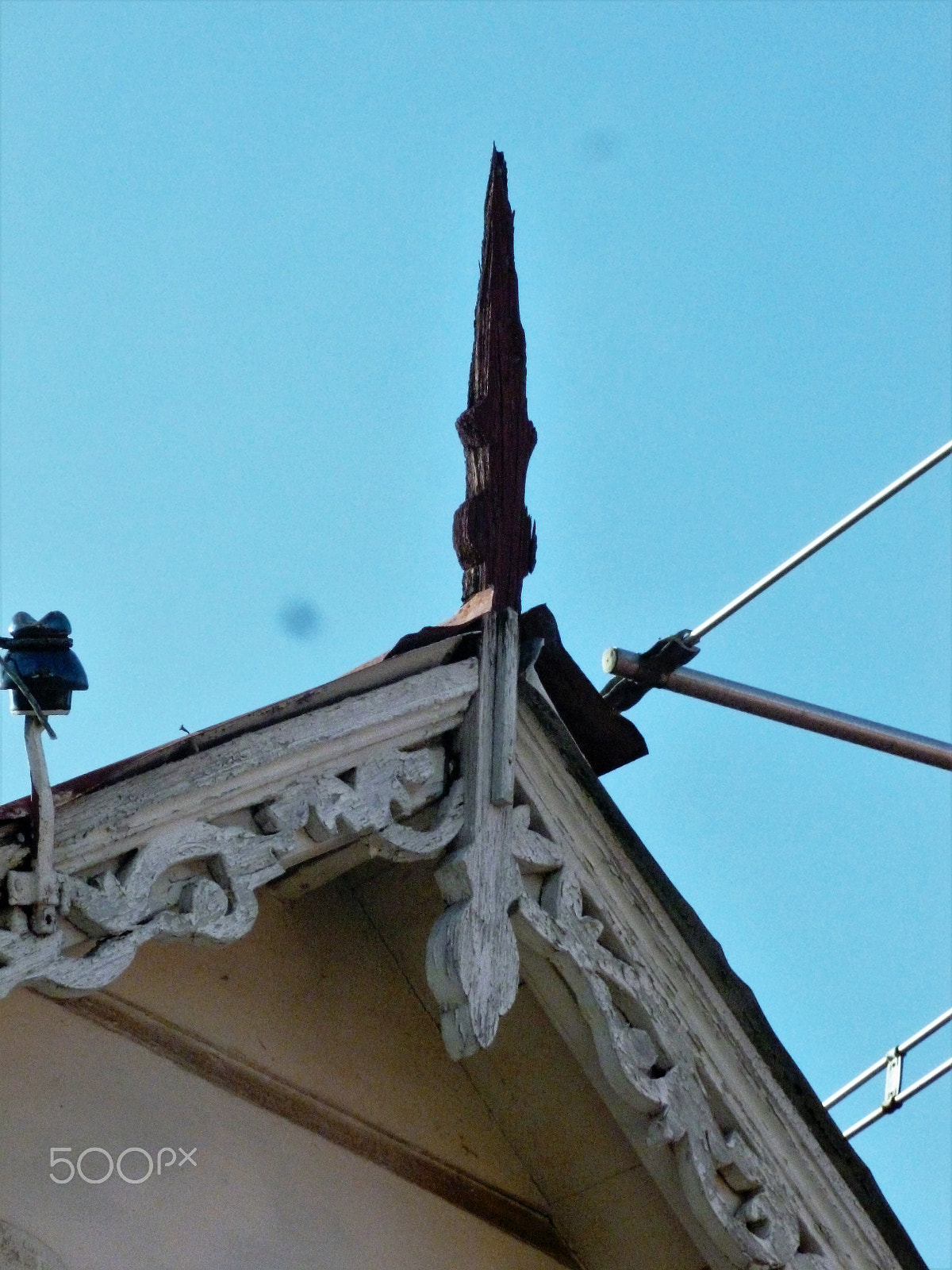 Panasonic DMC-FH25 sample photo. Ornamental needles in ginger houses. port of spain photography