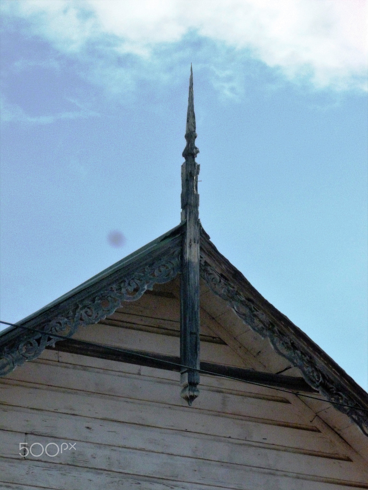 Panasonic DMC-FH25 sample photo. Ornamental needles in ginger houses. port of spain photography