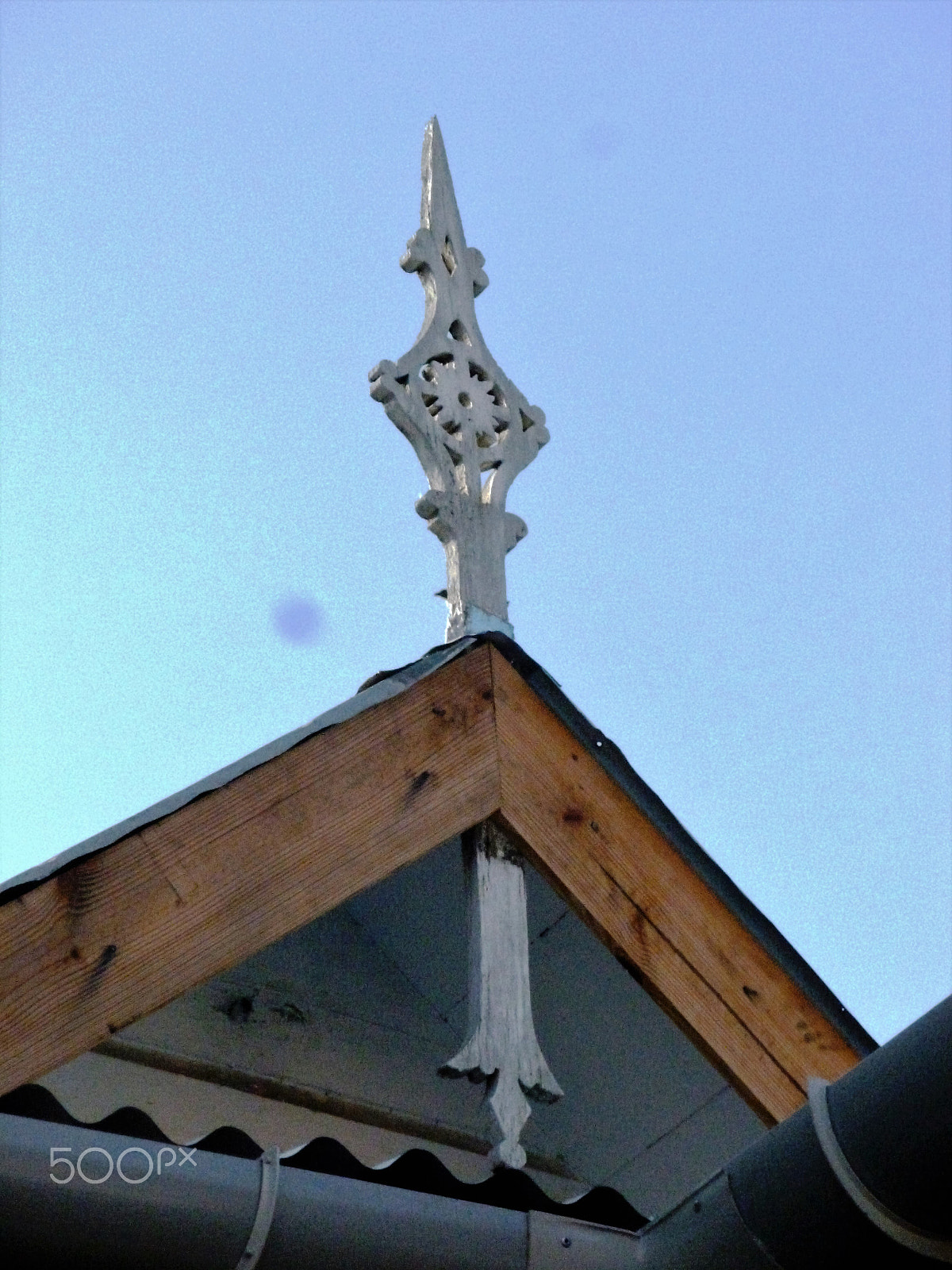 Panasonic DMC-FH25 sample photo. Ornamental needles in ginger houses. port of spain photography