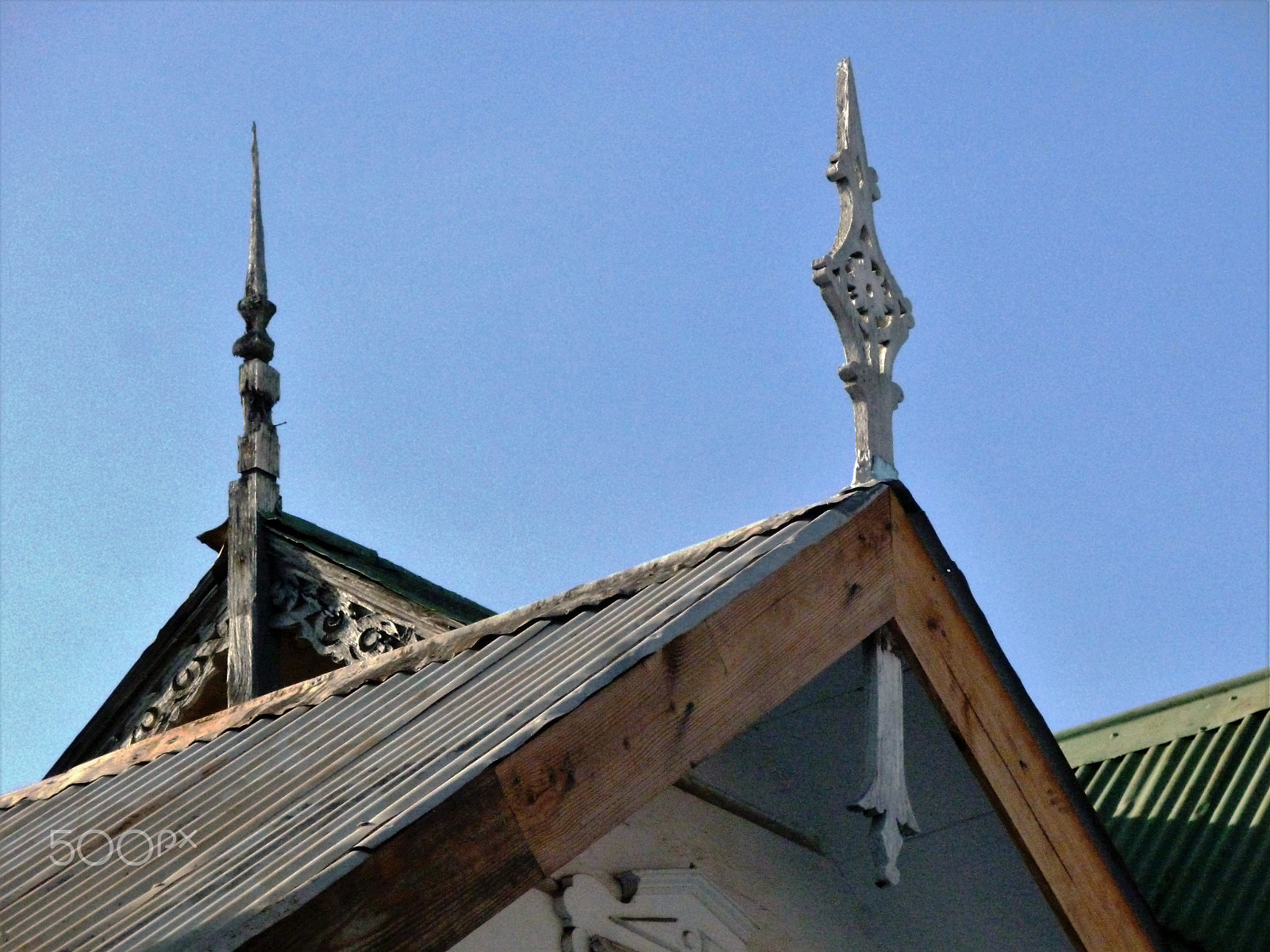 Panasonic DMC-FH25 sample photo. Ornamental needles in ginger houses. port of spain photography