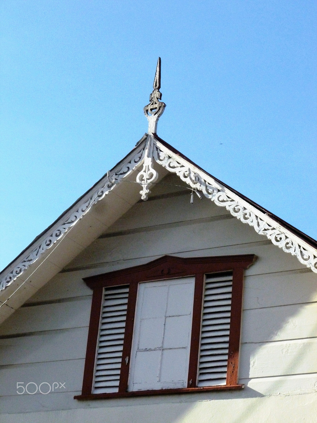 Panasonic DMC-FH25 sample photo. Ornamental needles in ginger houses. port of spain photography