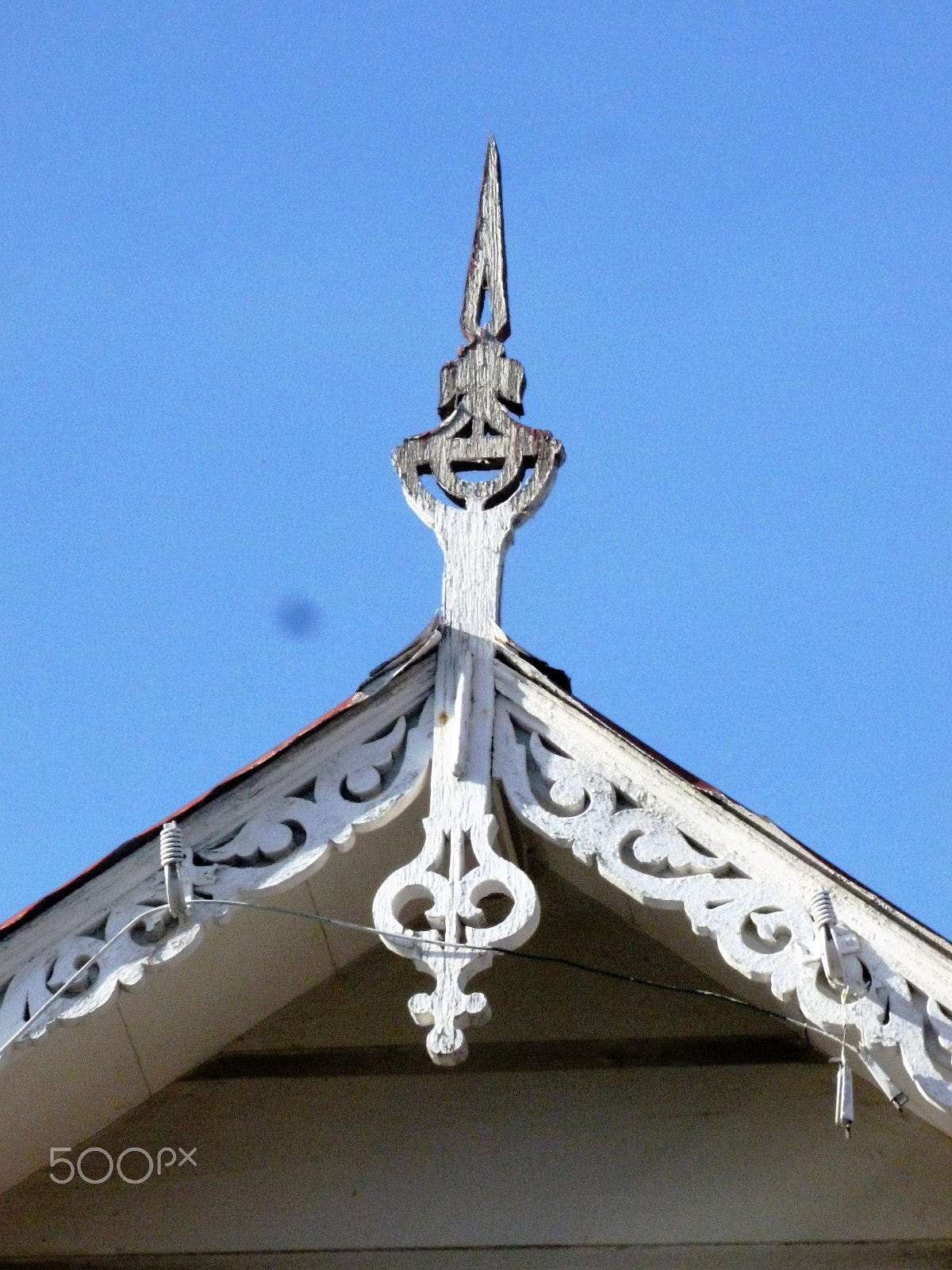 Panasonic DMC-FH25 sample photo. Ornamental needles in ginger houses. port of spain photography