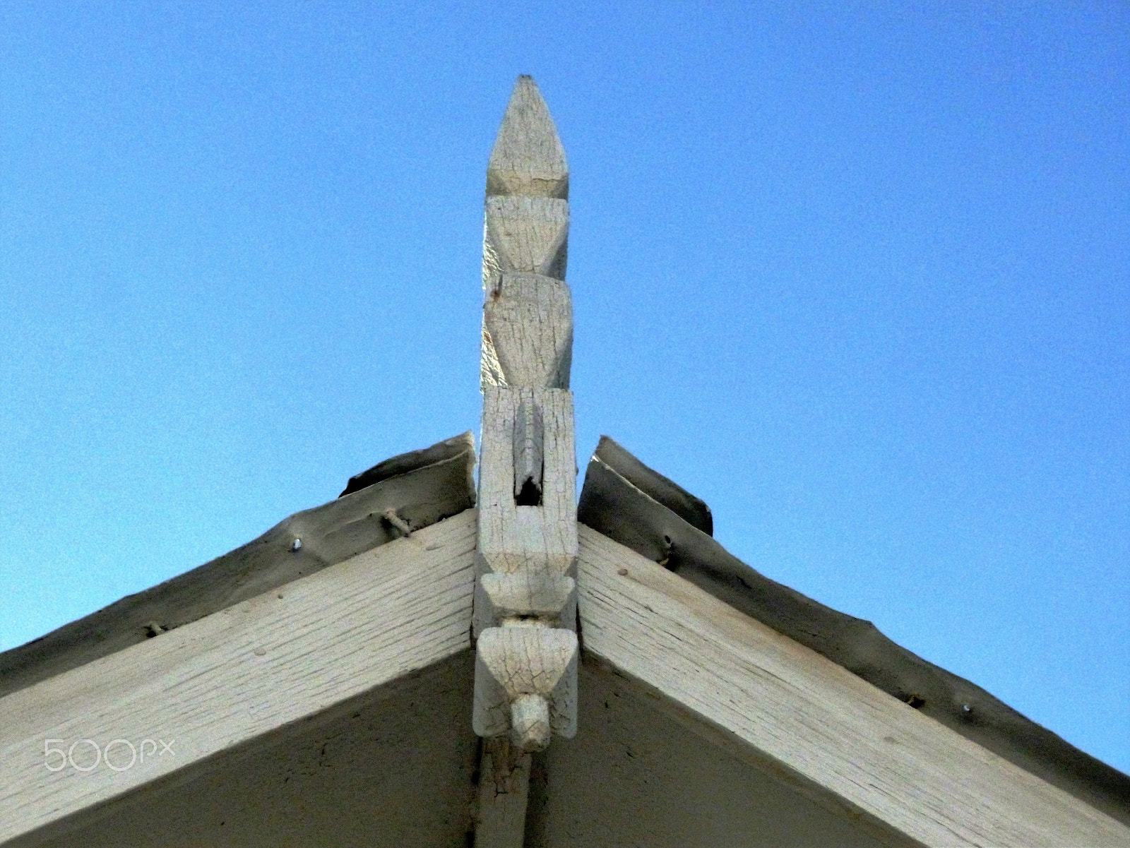 Panasonic DMC-FH25 sample photo. Ornamental needles in ginger houses. port of spain photography