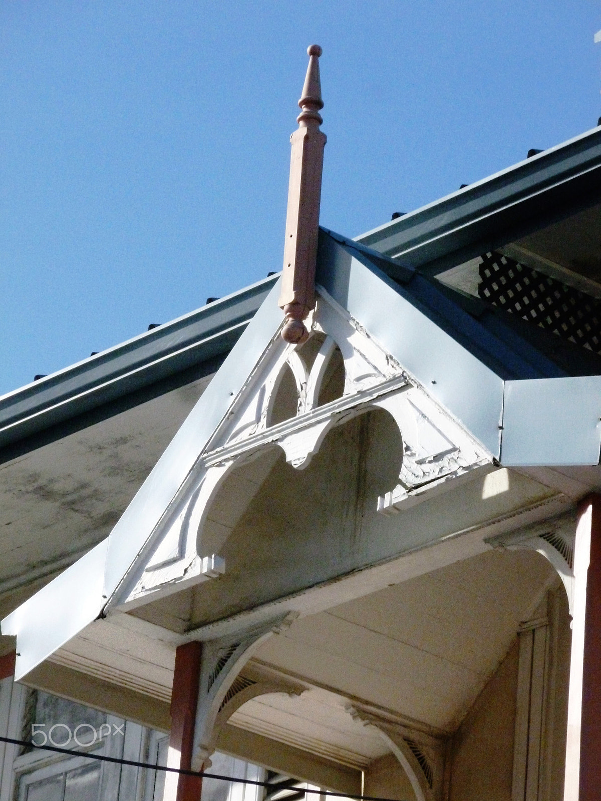 Panasonic DMC-FH25 sample photo. Ornamental needles in ginger houses. port of spain photography