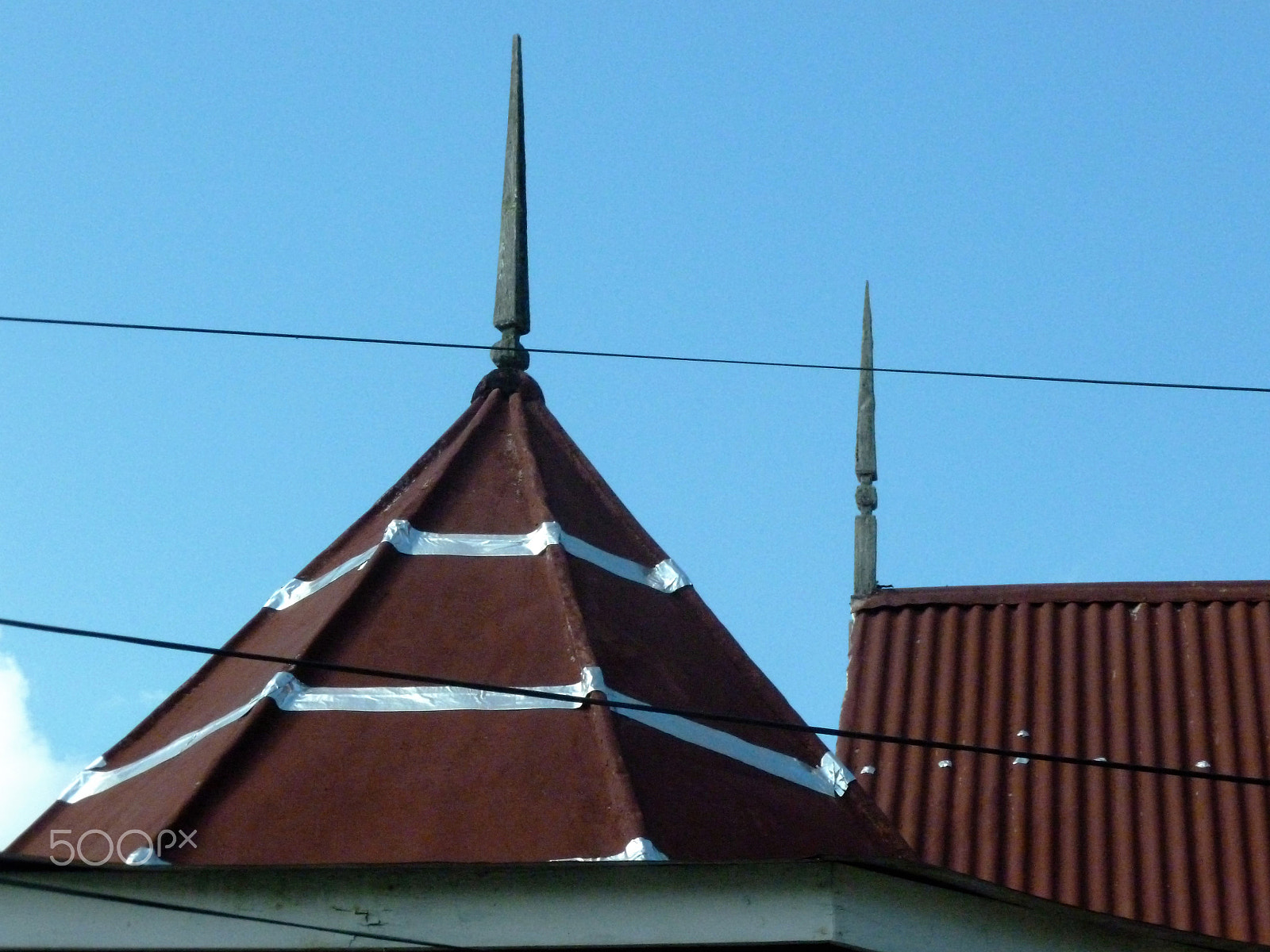 Panasonic DMC-FH25 sample photo. Ornamental needles in ginger houses. port of spain photography