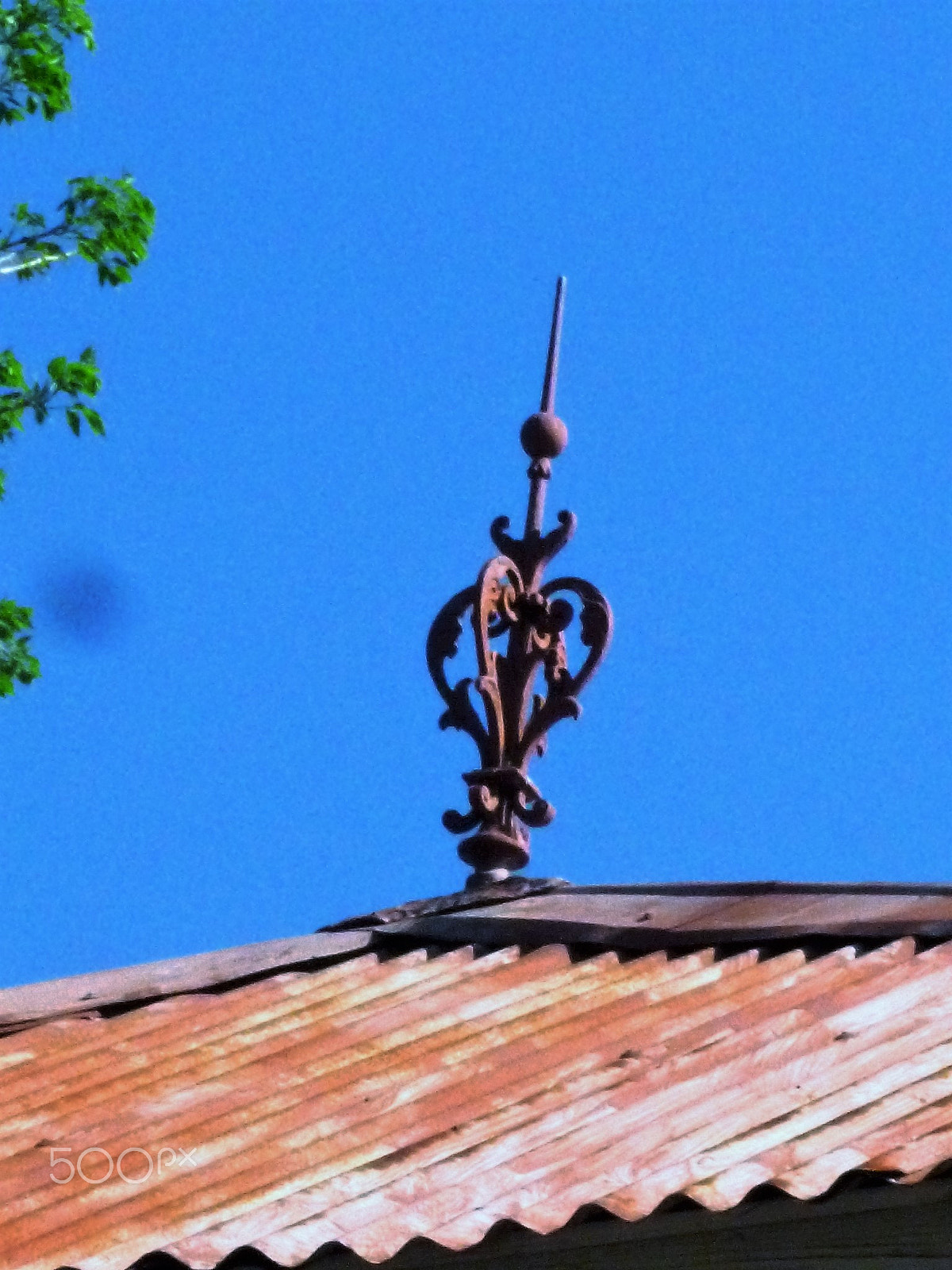 Panasonic DMC-FH25 sample photo. Ornamental needles in ginger houses. port of spain photography