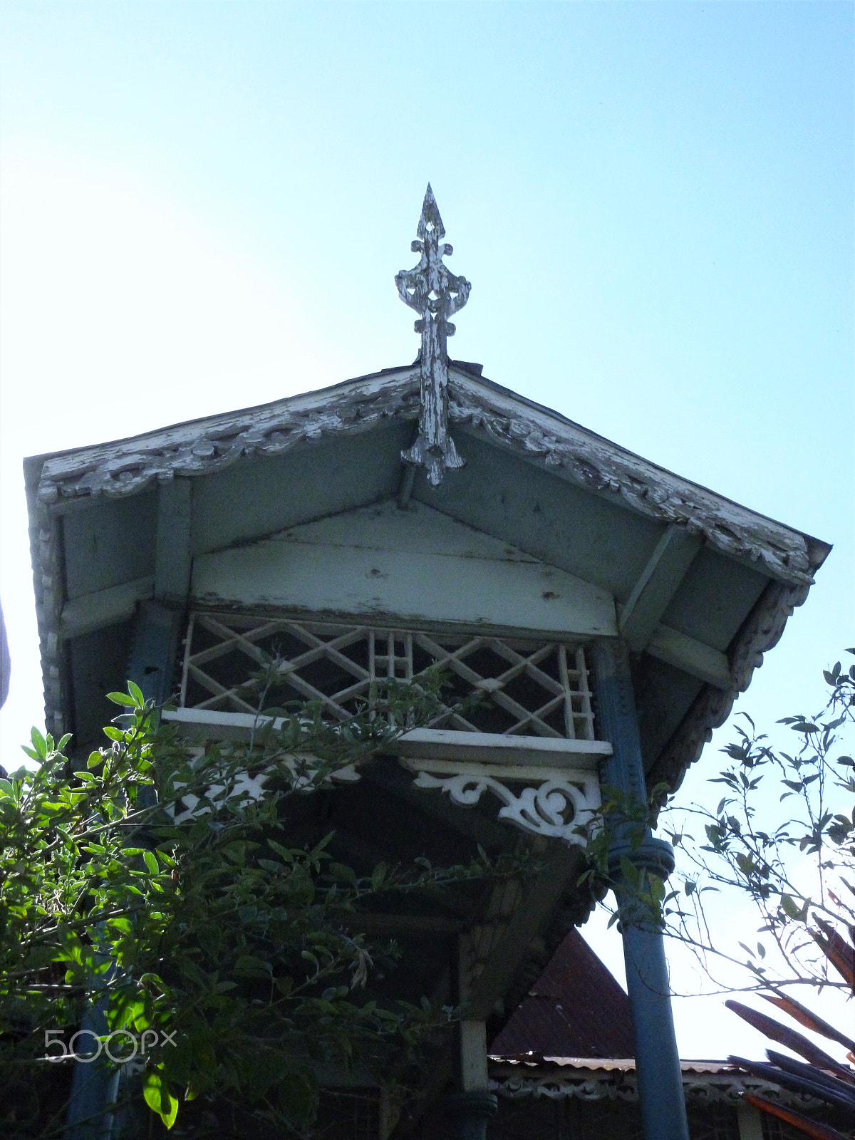 Panasonic DMC-FH25 sample photo. Ornamental needles in ginger houses. port of spain photography