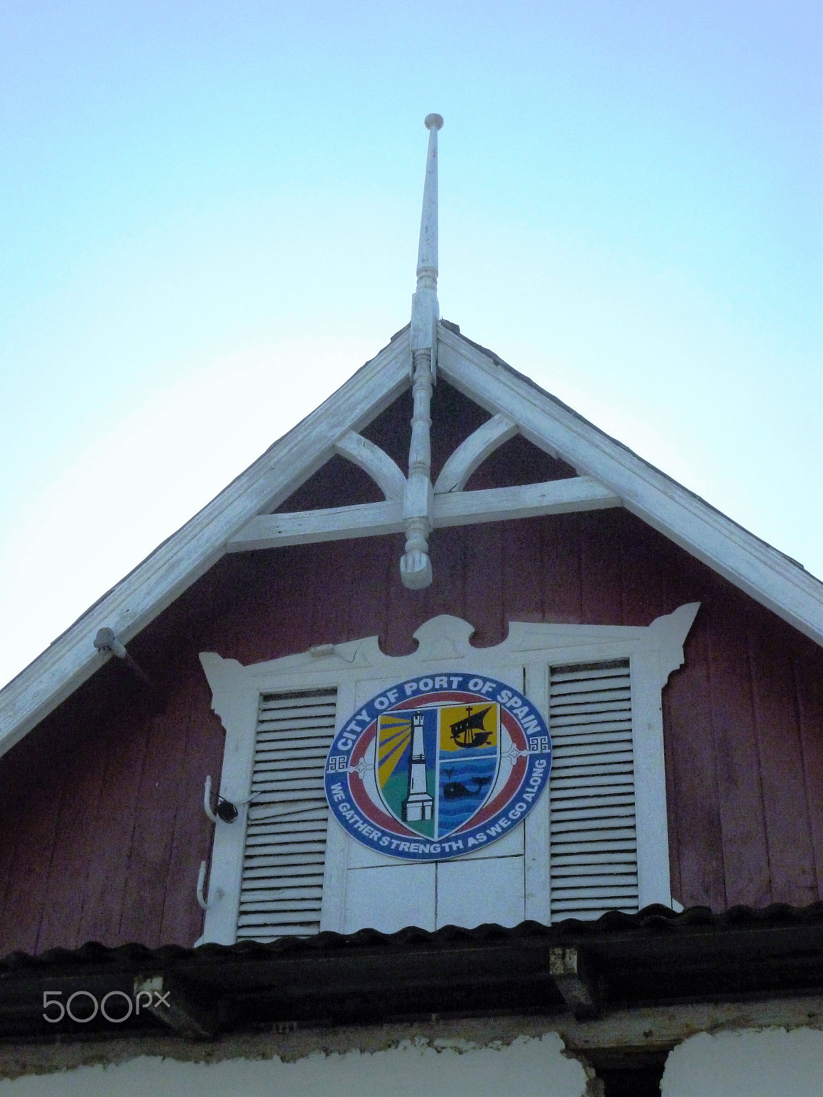 Panasonic DMC-FH25 sample photo. Ornamental needles in ginger houses. port of spain photography