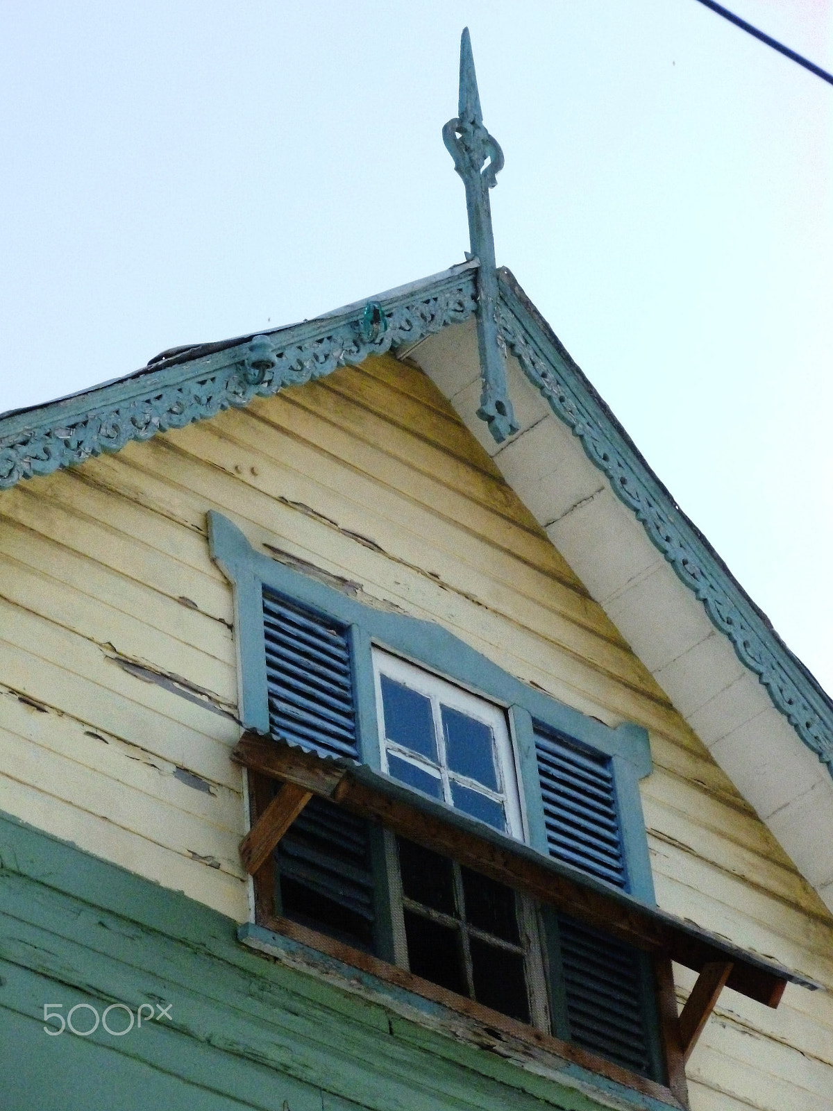 Panasonic DMC-FH25 sample photo. Ornamental needles in ginger houses. port of spain photography