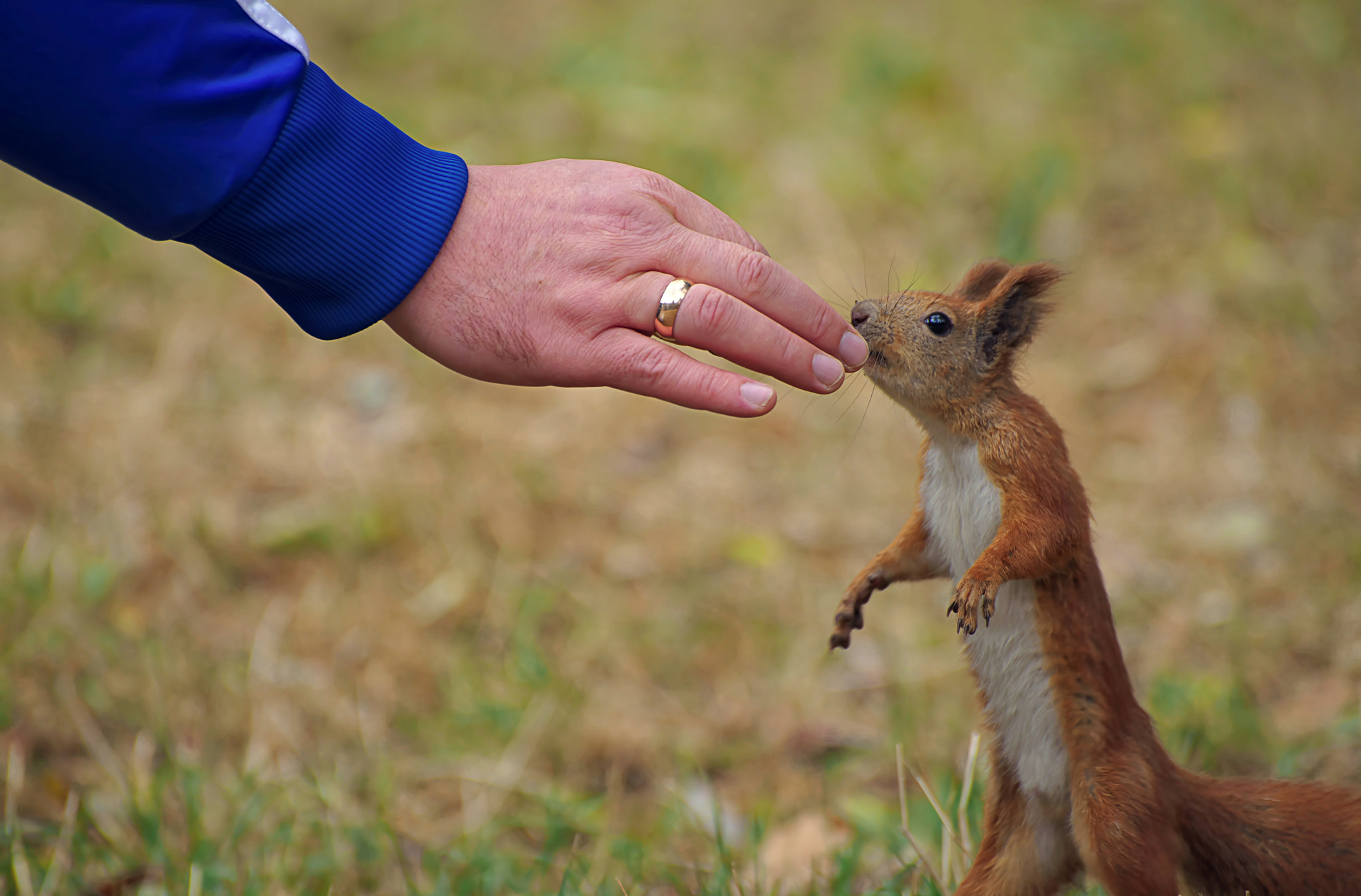 VR 70-300mm F/4.5-5.6 G sample photo. Man and squirrel photography