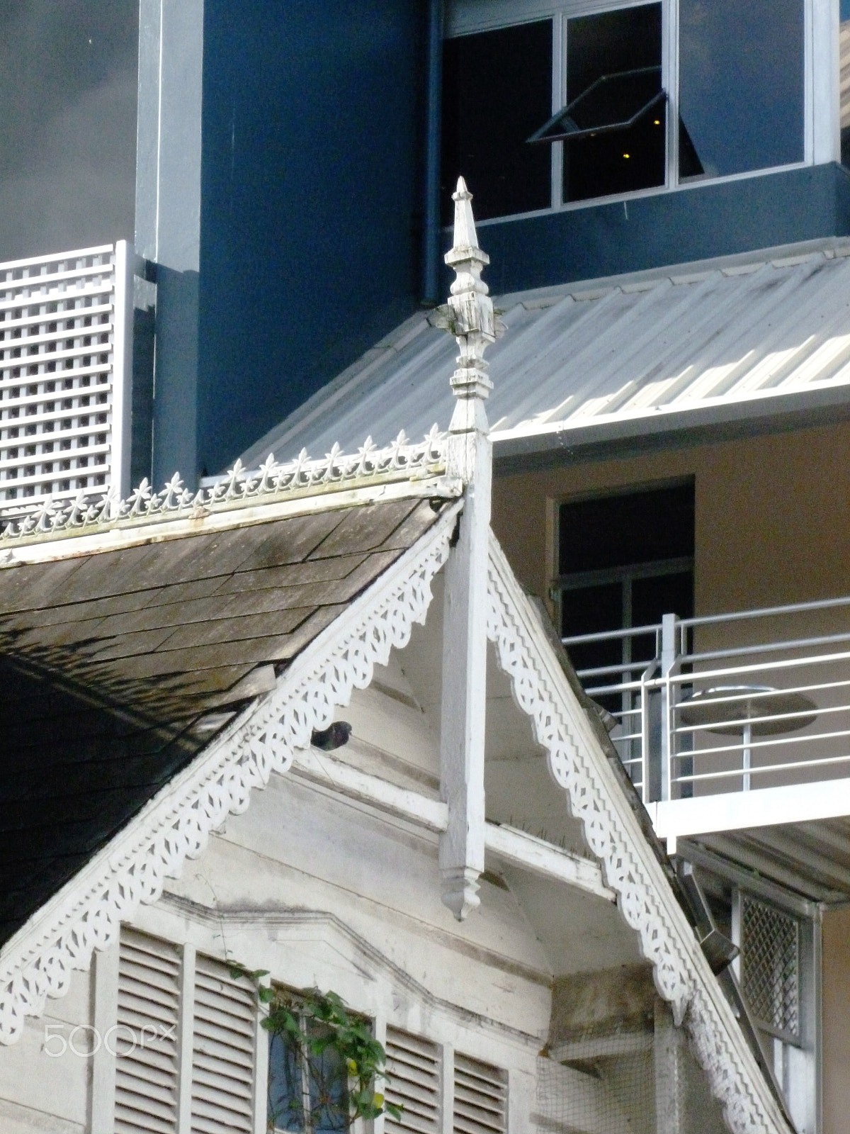 Panasonic DMC-FH25 sample photo. Ornamental needles in ginger houses. port of spain photography