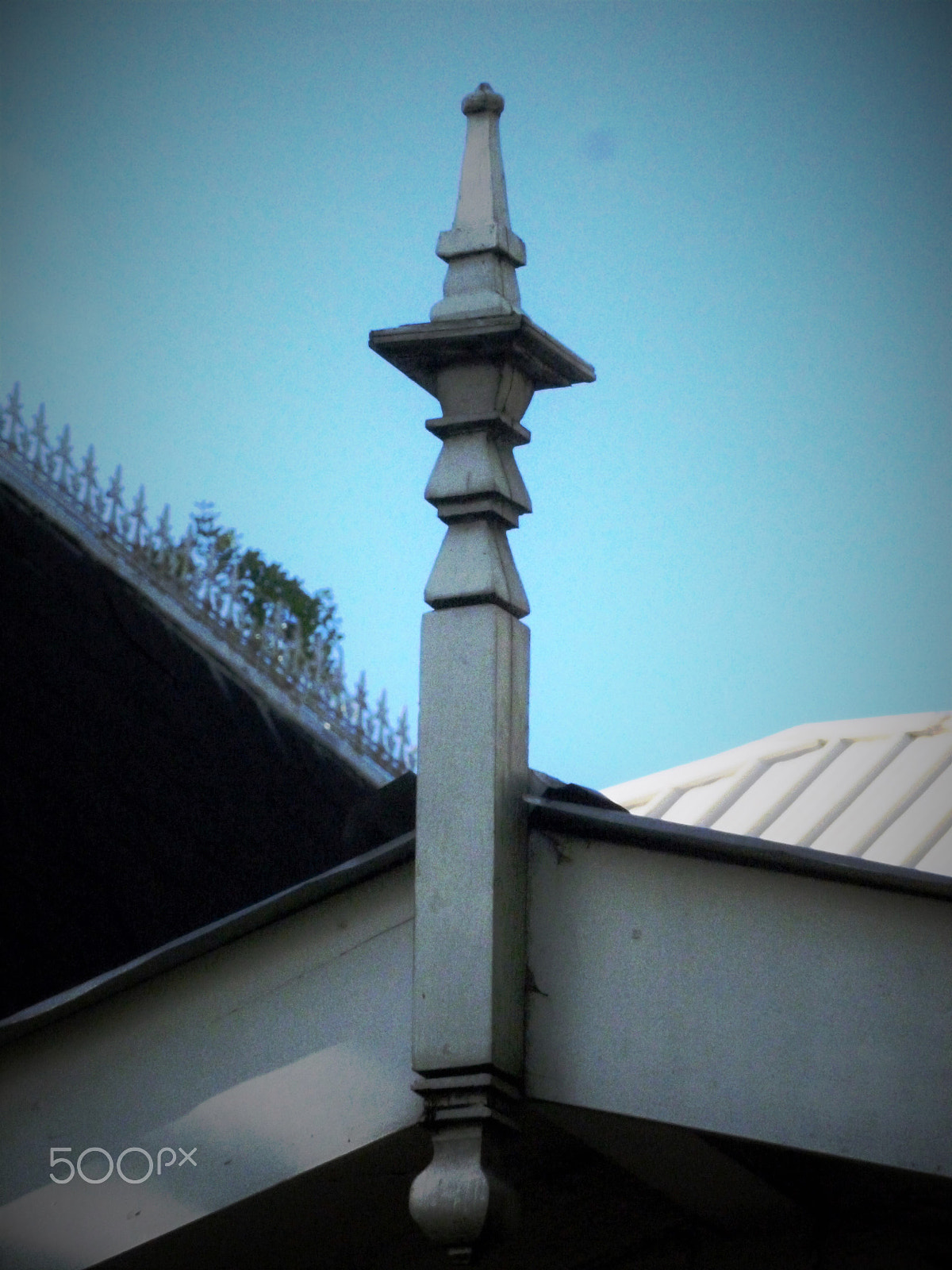 Panasonic DMC-FH25 sample photo. Ornamental needles in ginger houses. port of spain photography