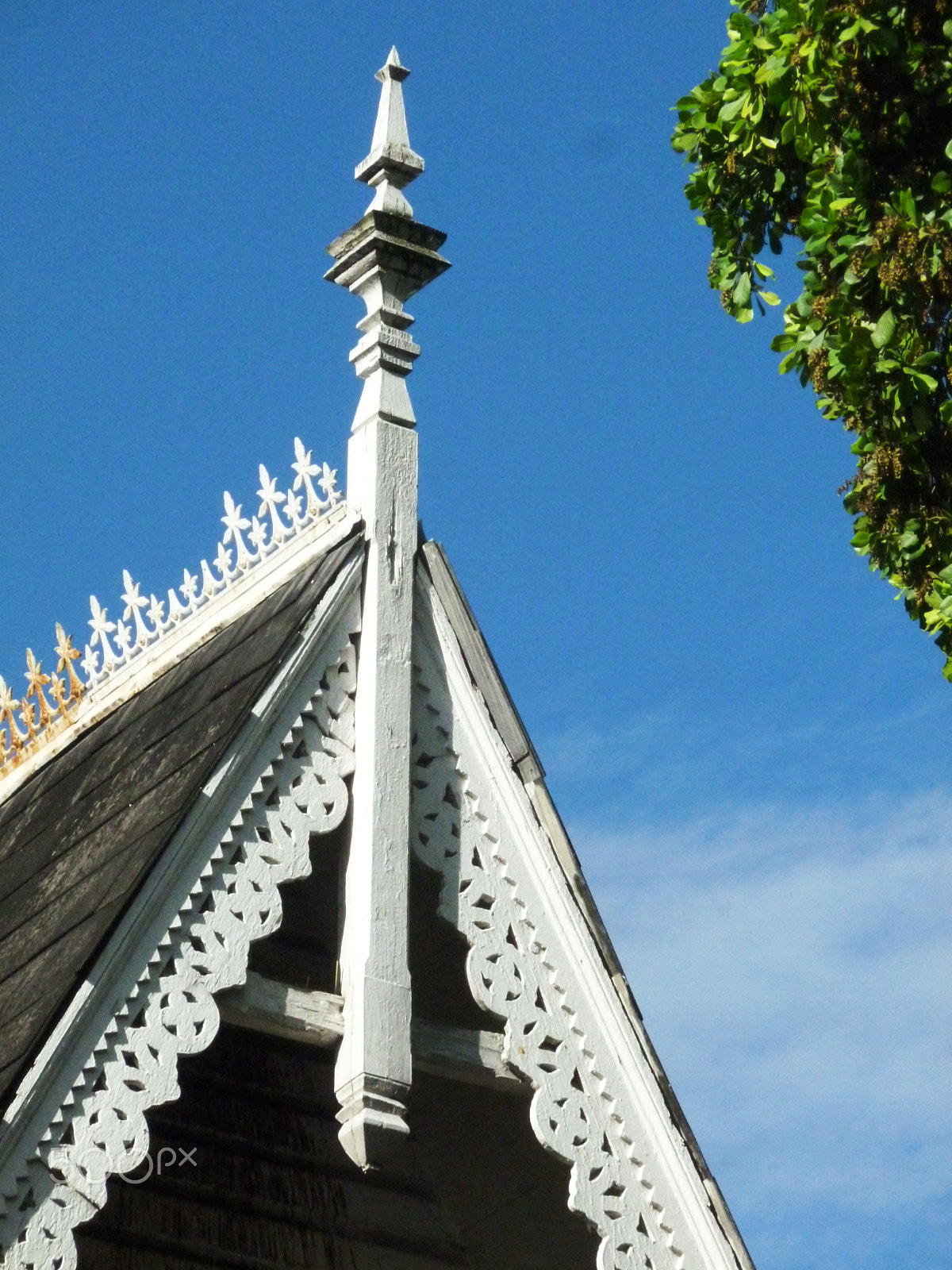 Panasonic DMC-FH25 sample photo. Ornamental needles in ginger houses. port of spain photography