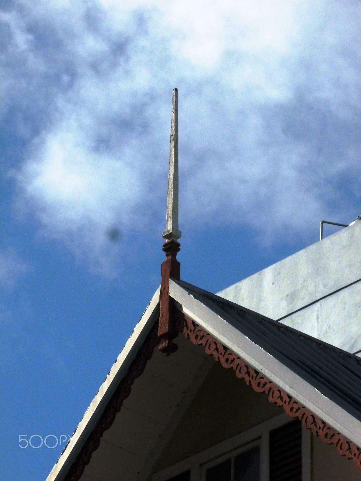 Panasonic DMC-FH25 sample photo. Ornamental needles in ginger houses. port of spain photography