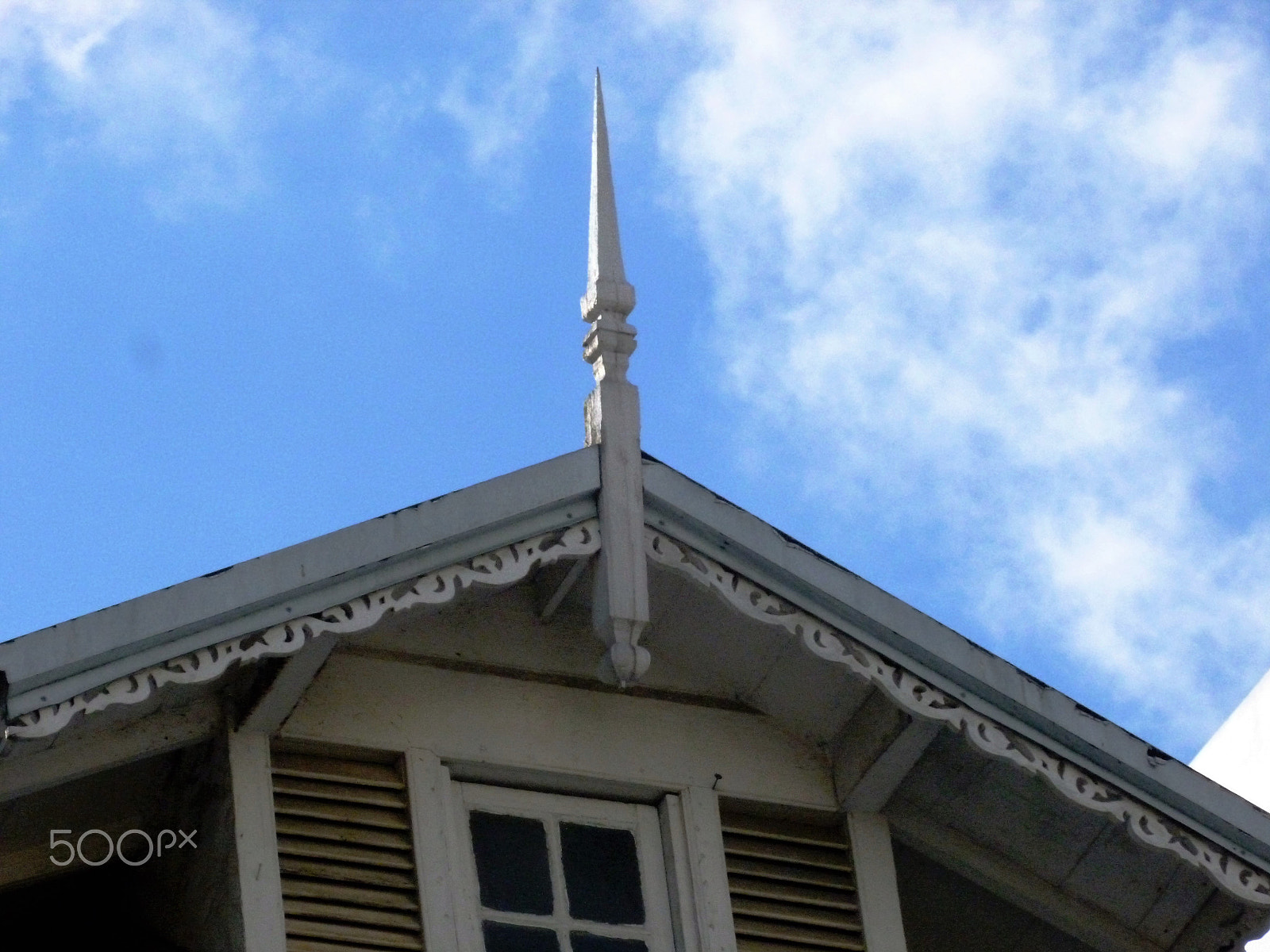 Panasonic DMC-FH25 sample photo. Ornamental needles in ginger houses. port of spain photography