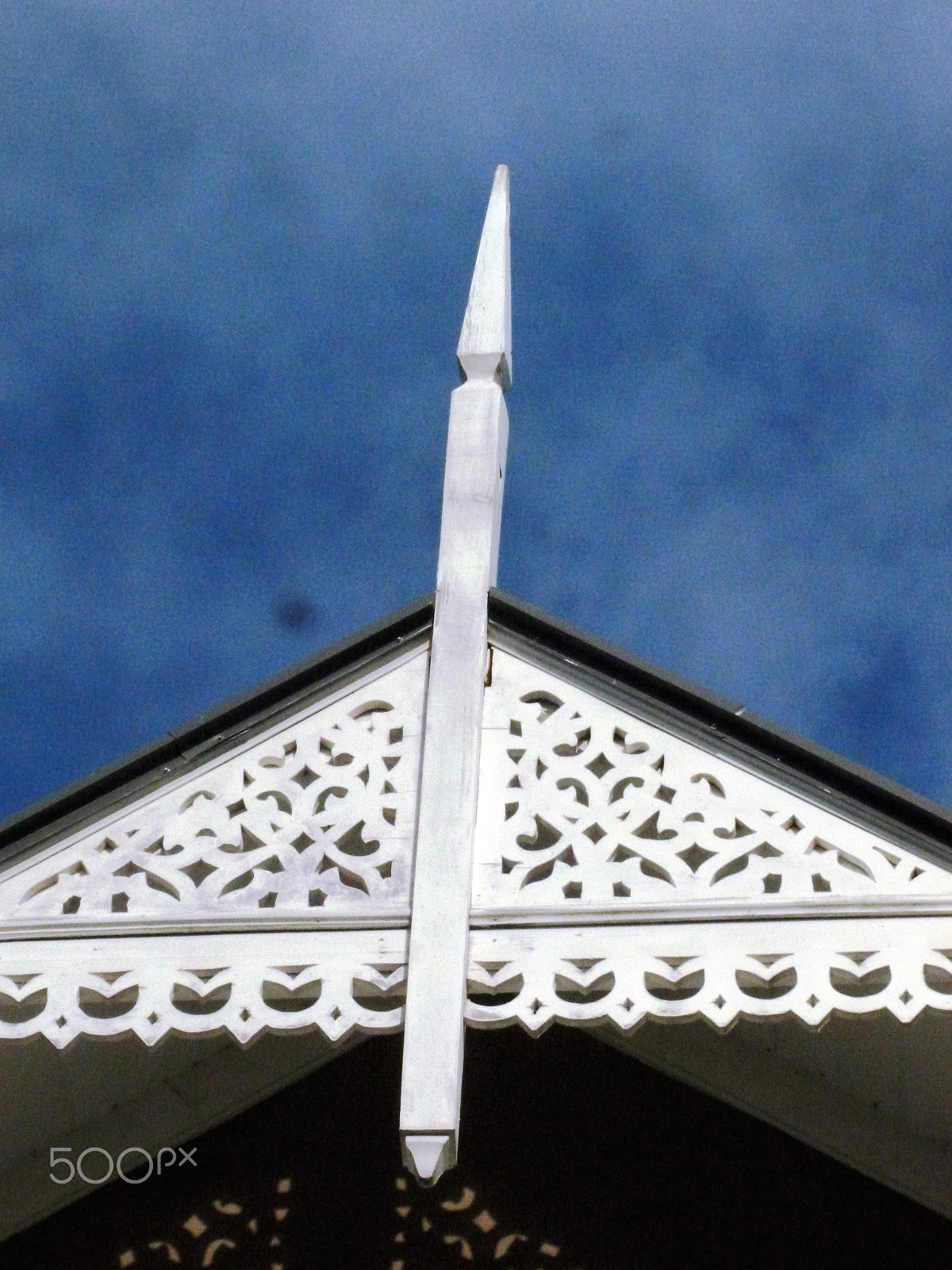 Panasonic DMC-FH25 sample photo. Ornamental needles in ginger houses. port of spain photography