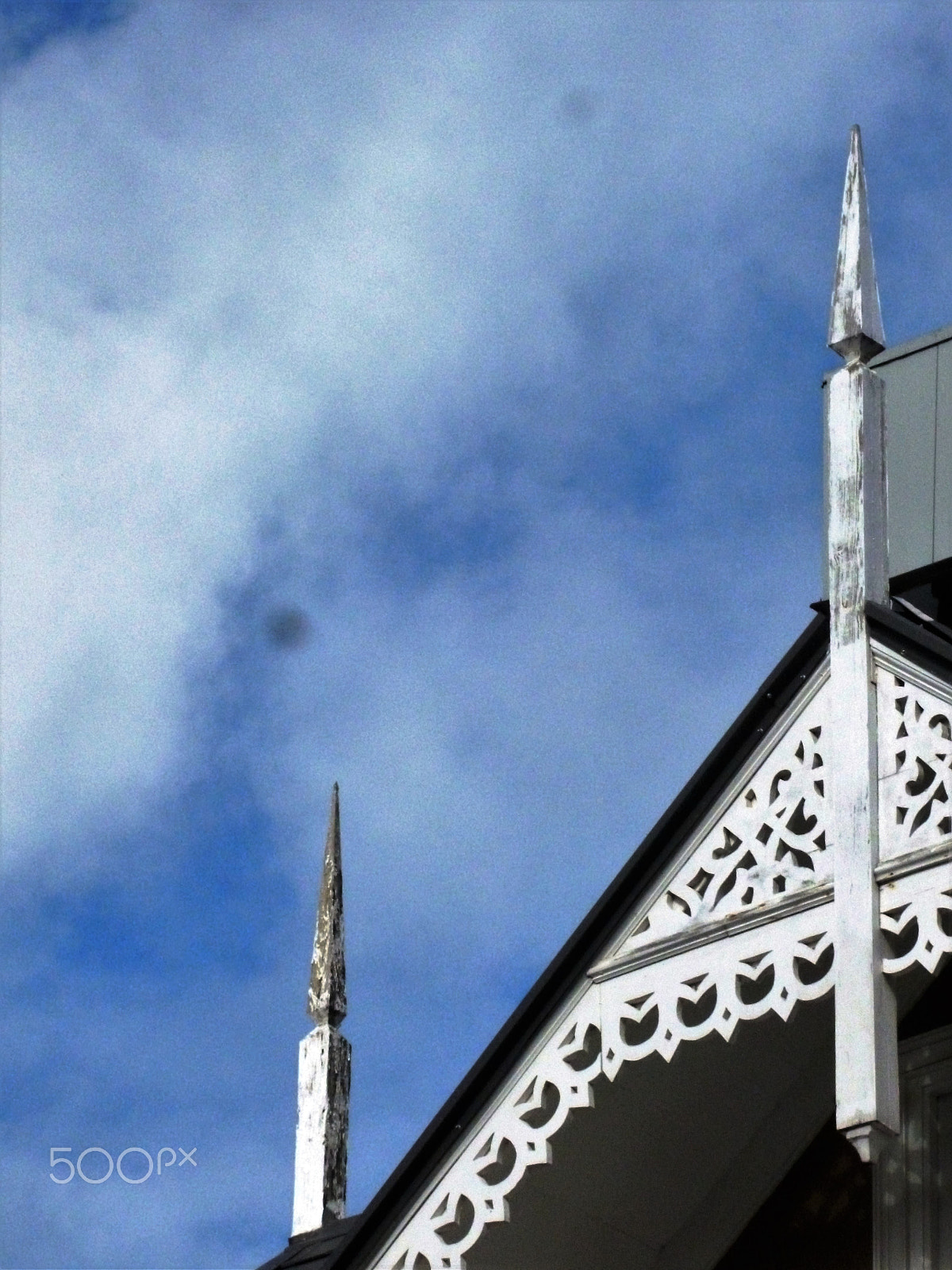 Panasonic DMC-FH25 sample photo. Ornamental needles in ginger houses. port of spain photography