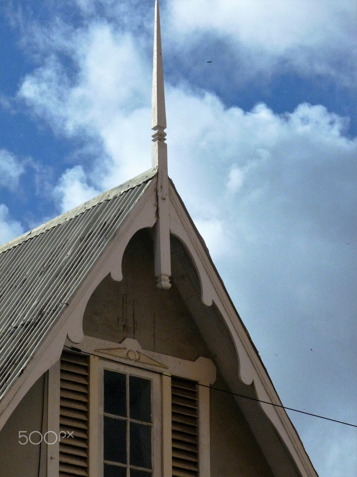 Panasonic DMC-FH25 sample photo. Ornamental needles in ginger houses. port of spain photography