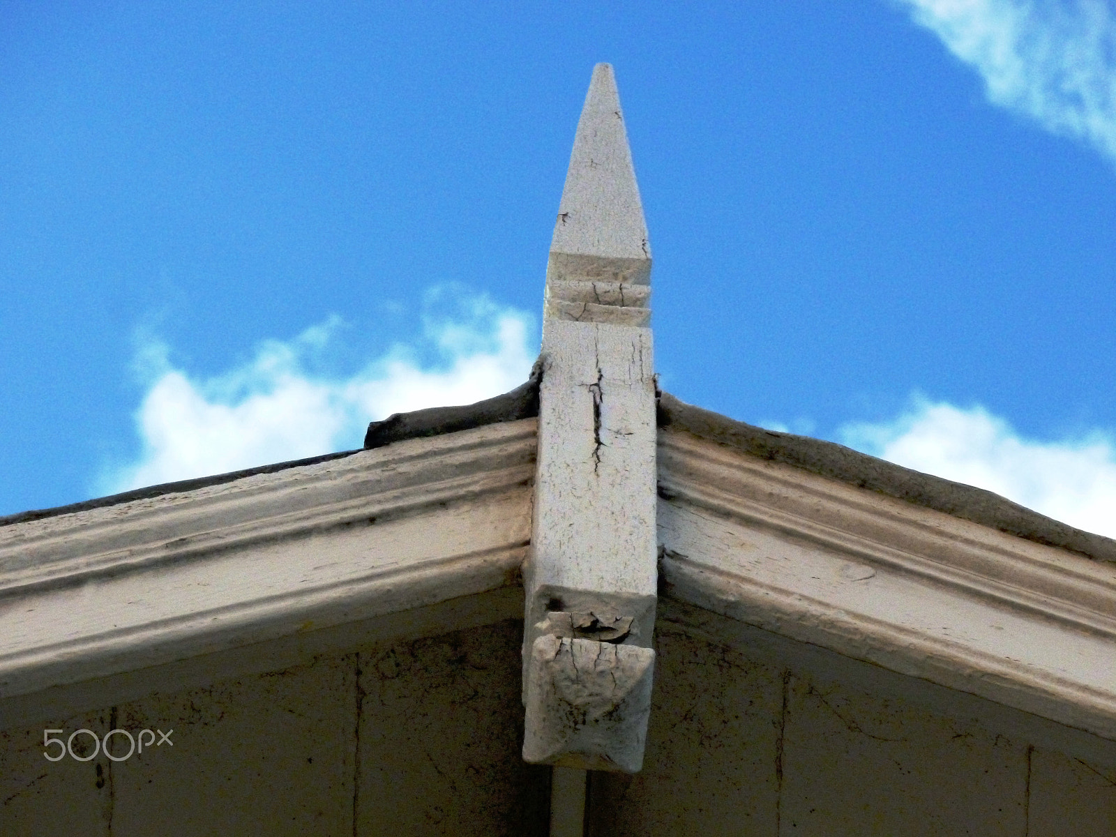 Panasonic DMC-FH25 sample photo. Ornamental needles in ginger houses. port of spain photography