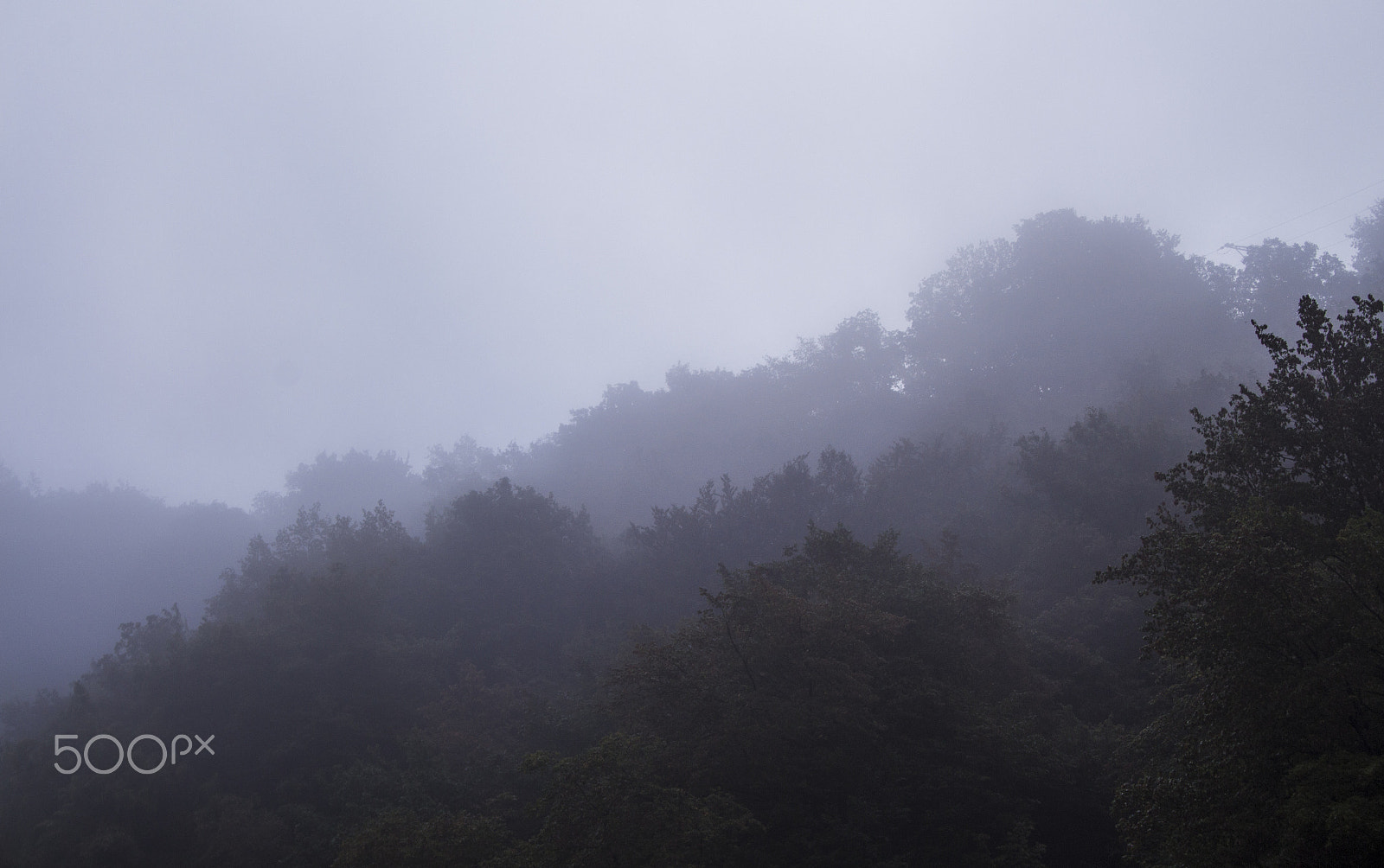 Canon EF-S 18-55mm F3.5-5.6 II sample photo. Misty morning photography