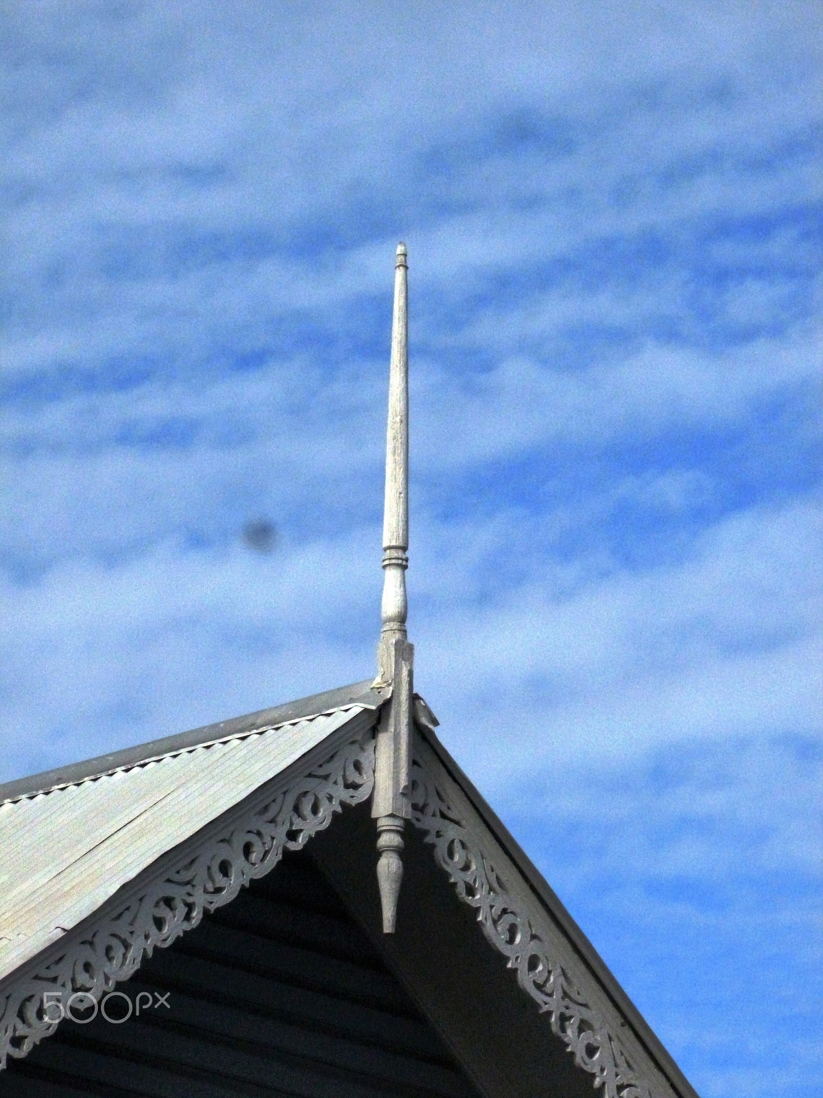 Panasonic DMC-FH25 sample photo. Ornamental needles in ginger houses. port of spain photography