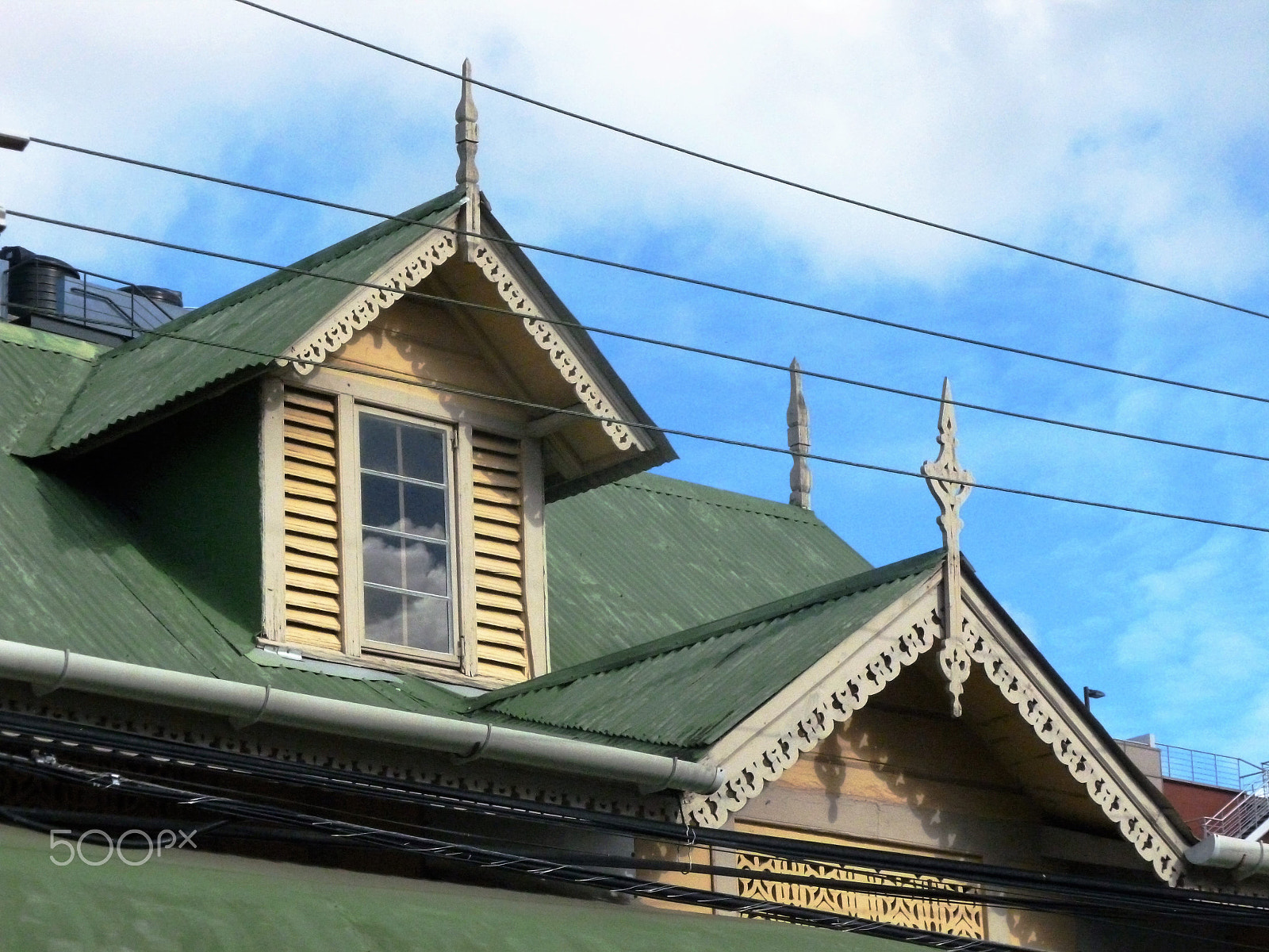 Panasonic DMC-FH25 sample photo. Ornamental needles in ginger houses. port of spain photography