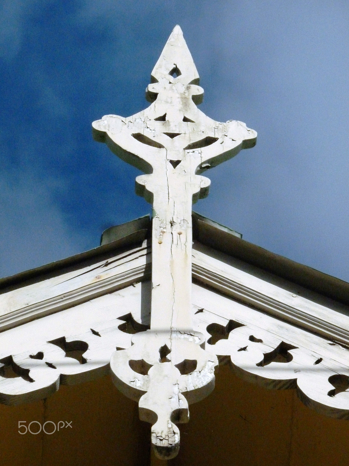 Panasonic DMC-FH25 sample photo. Ornamental needles in ginger houses. port of spain photography