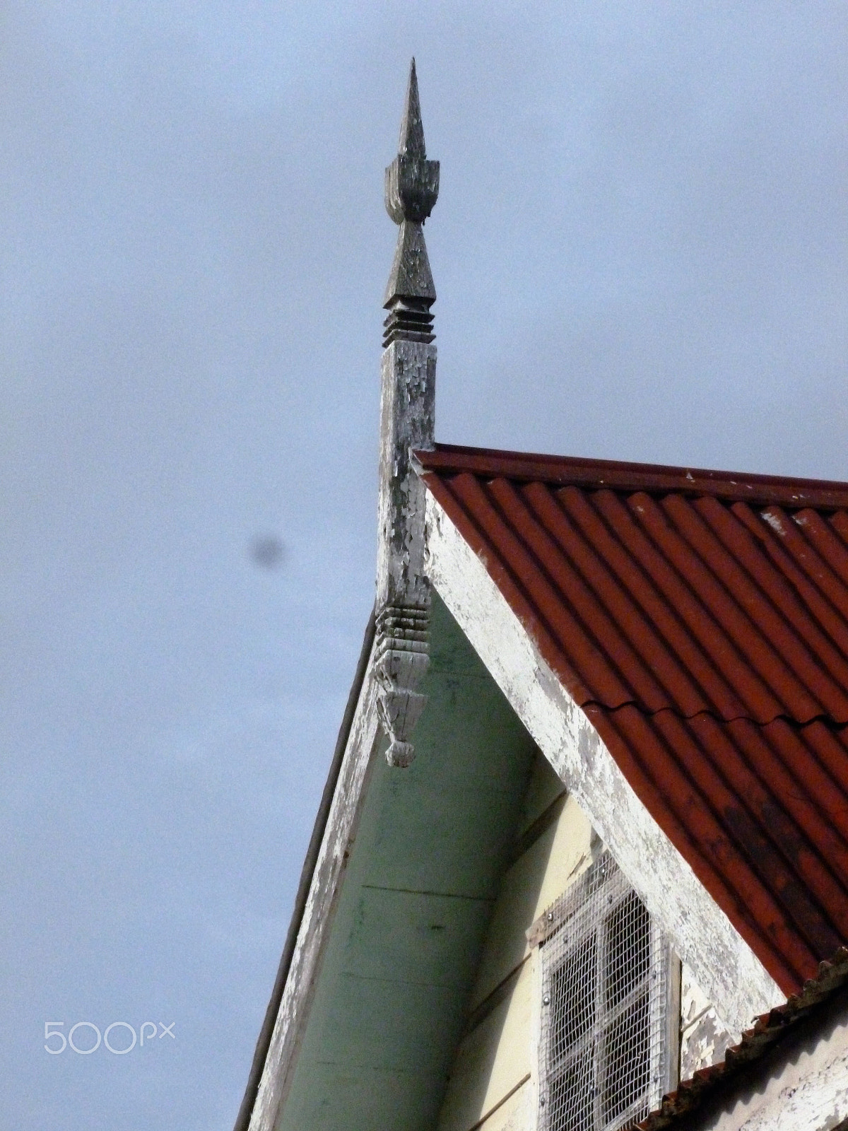 Panasonic DMC-FH25 sample photo. Ornamental needles in ginger houses. port of spain photography