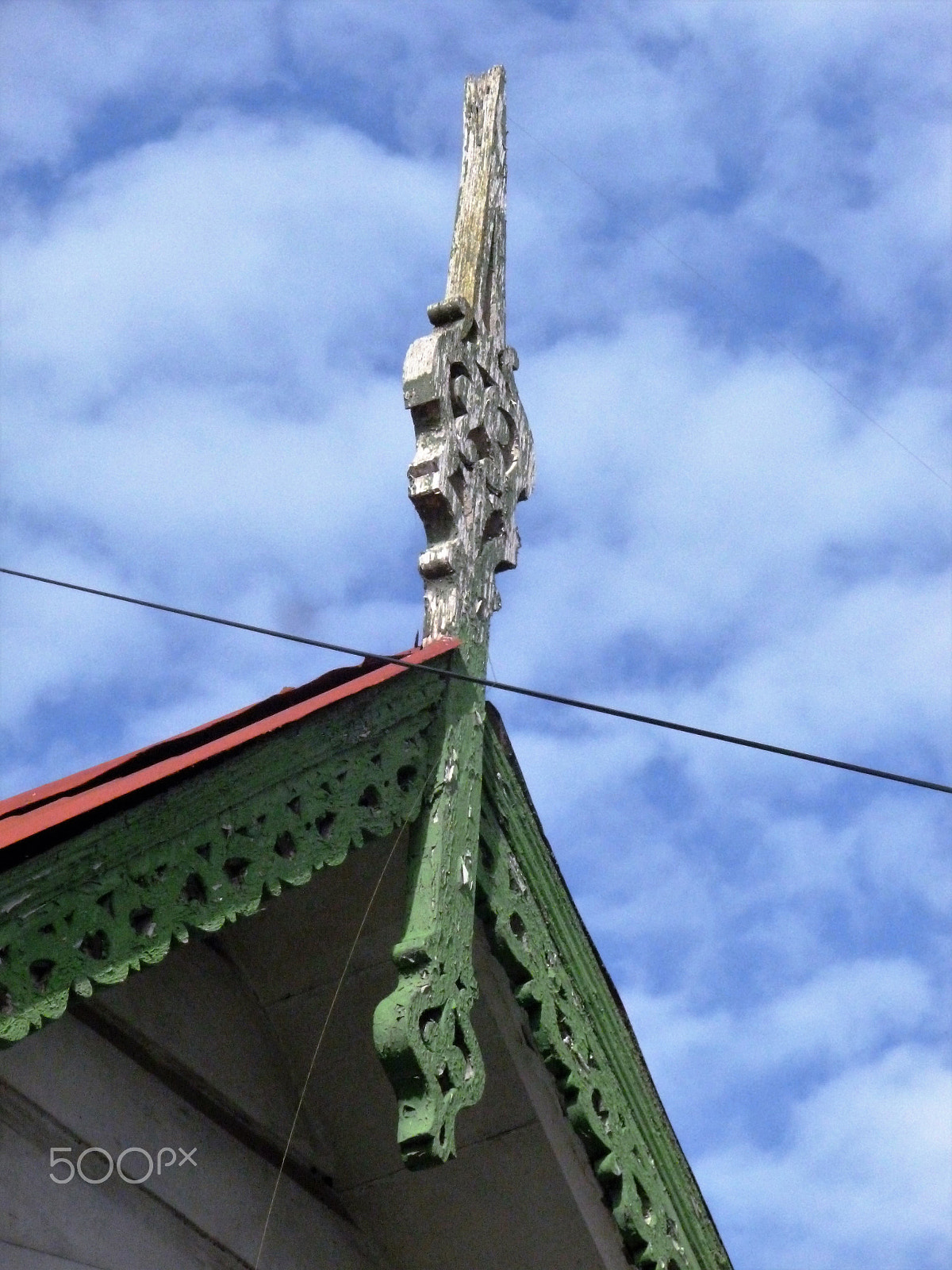 Panasonic DMC-FH25 sample photo. Ornamental needles in ginger houses. port of spain photography