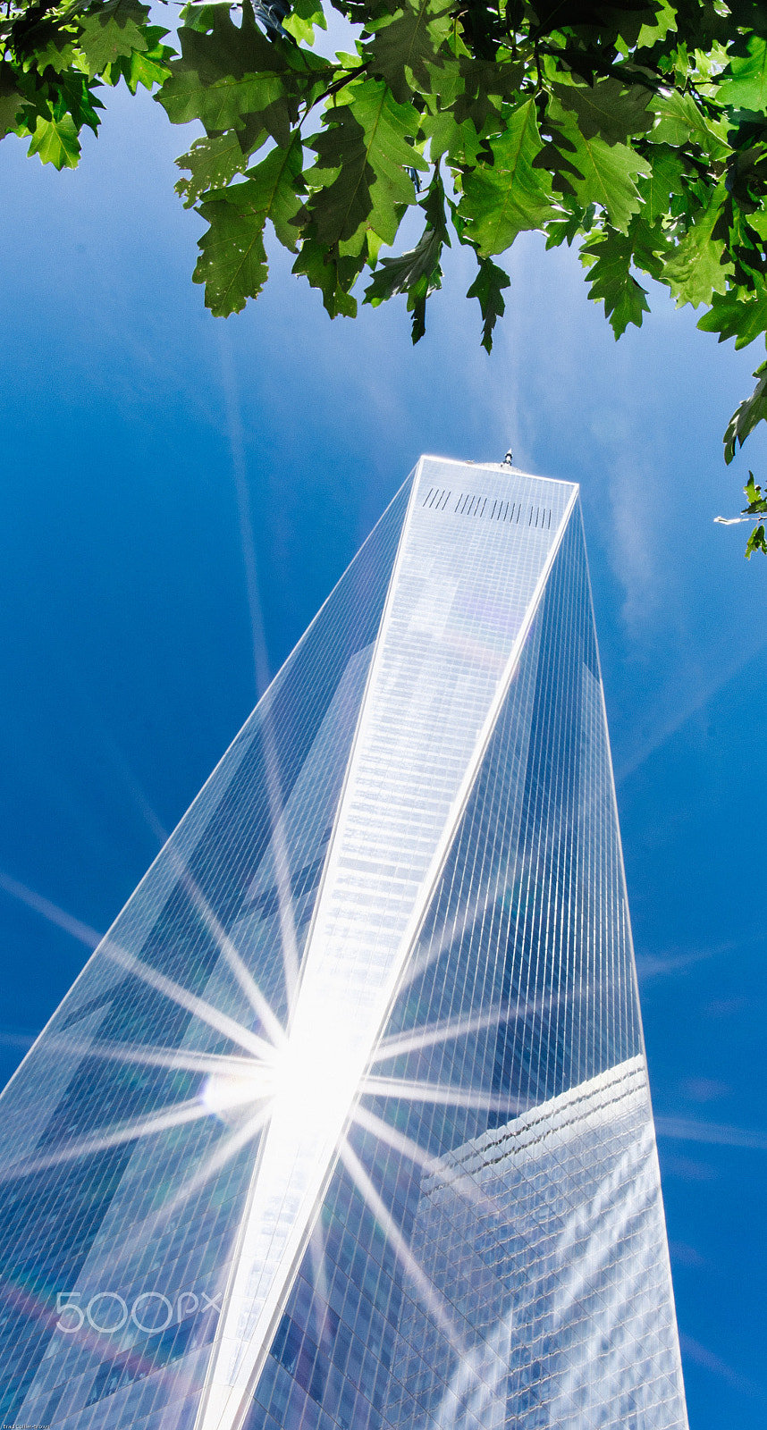 Nikon AF-S Nikkor 20mm F1.8G ED sample photo. Wtc nyc photography