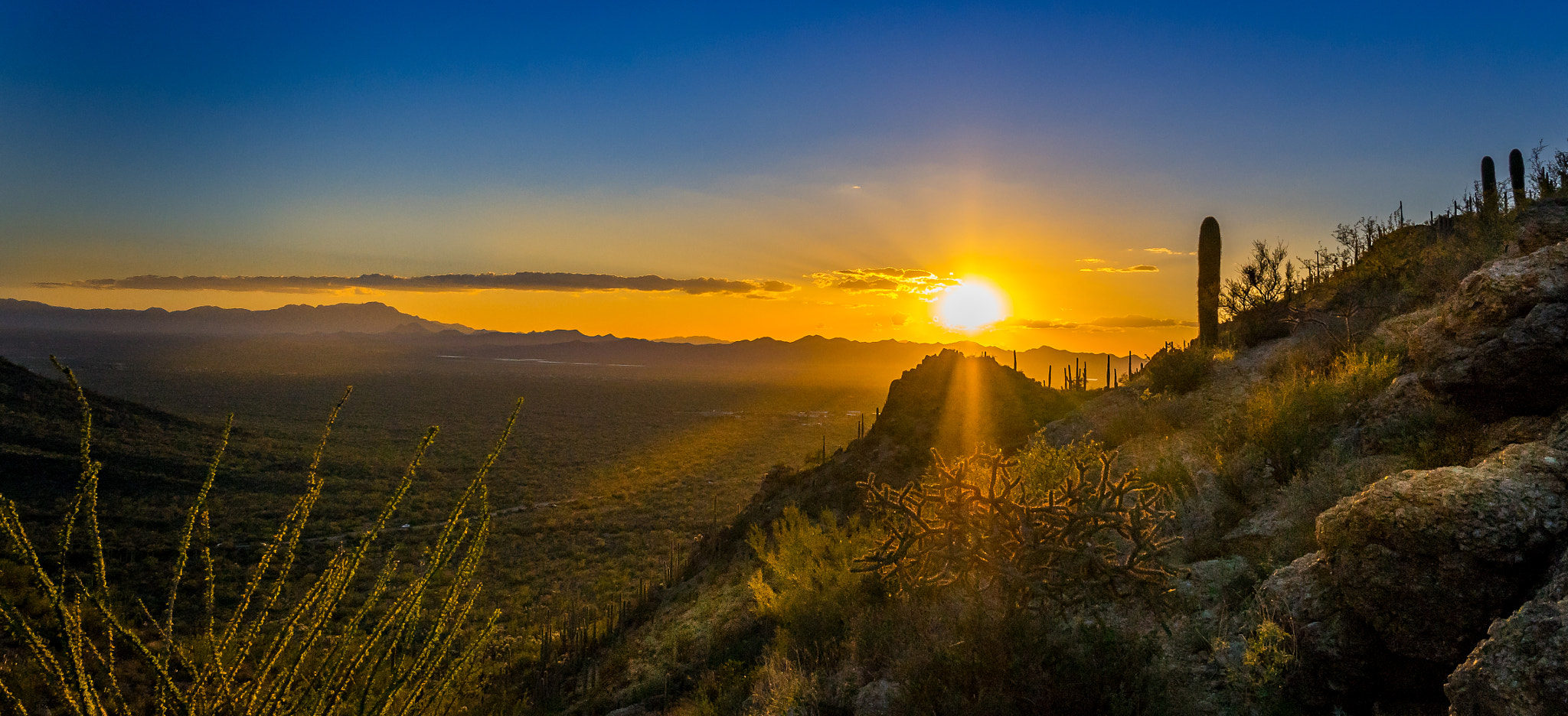Sony a7R + Sigma 19mm F2.8 EX DN sample photo. Sunset tucson photography