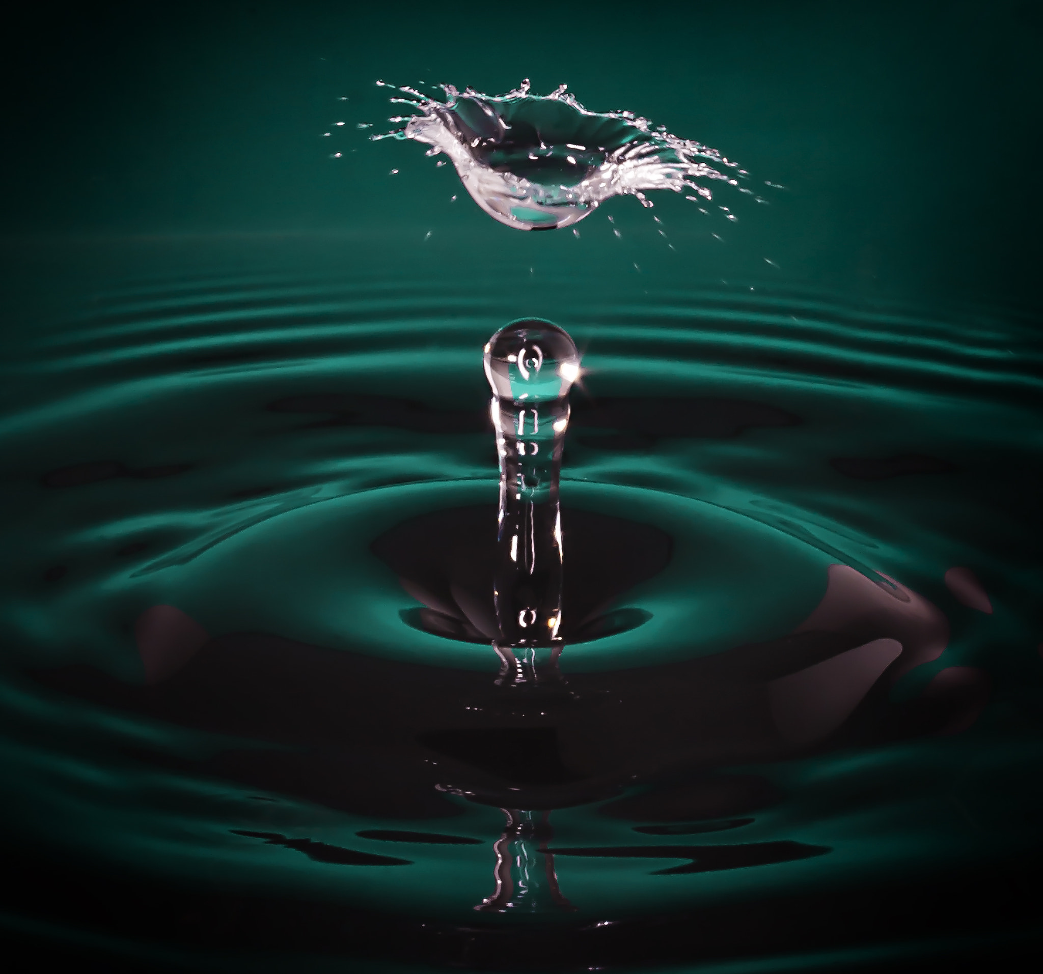 Canon EF 50mm F2.5 Macro sample photo. Green water splash photography