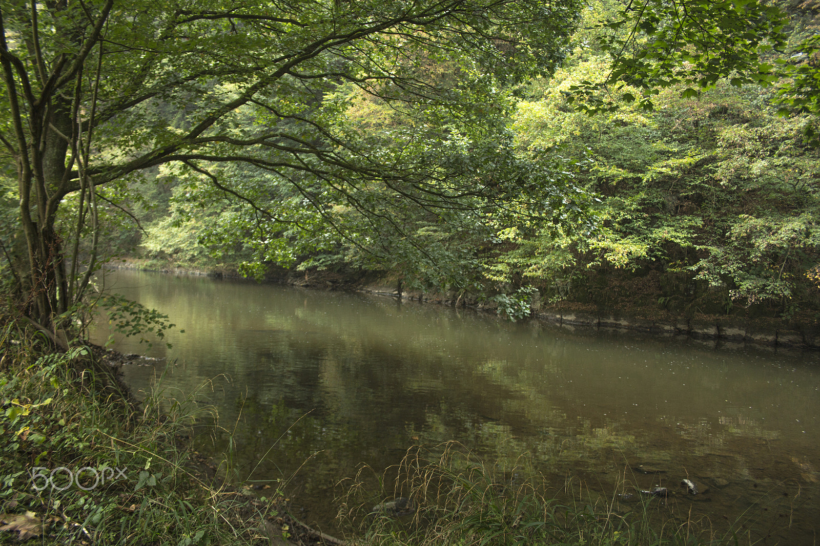 Canon EF-S 18-55mm F3.5-5.6 II sample photo. River shade photography